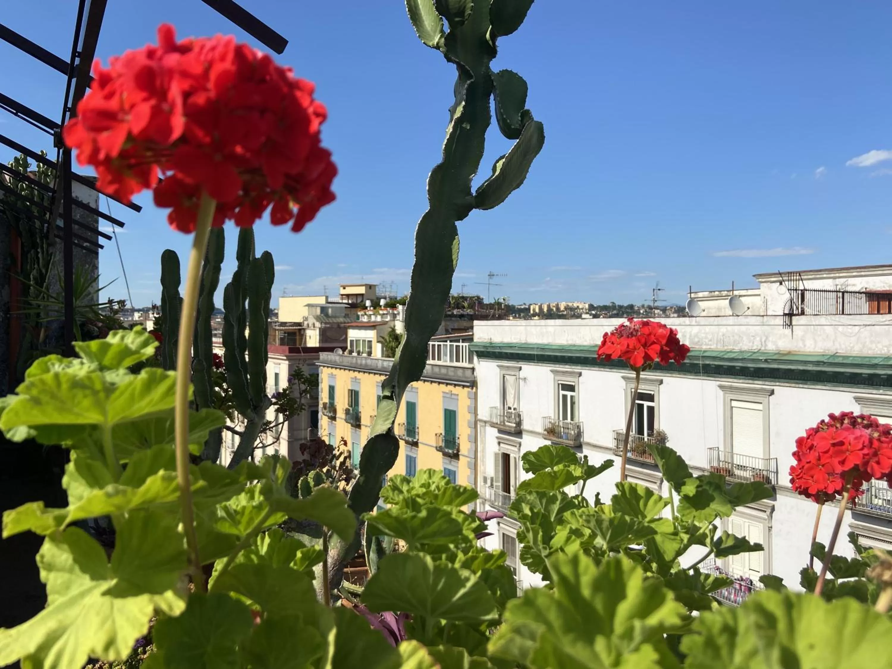 Balcony/Terrace in Up Hotel