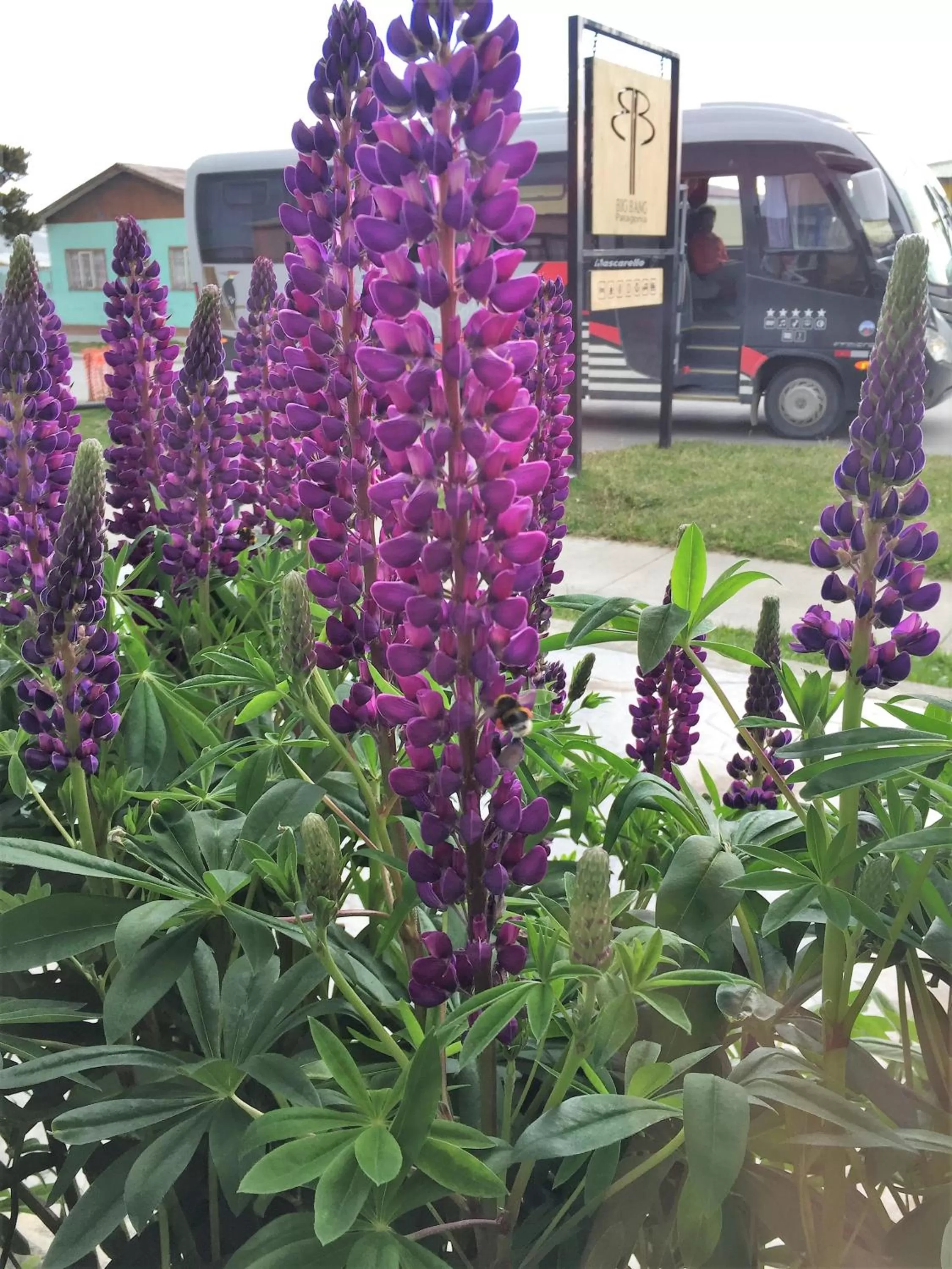 Patio in Big Bang Patagonia - Traveler Assistance