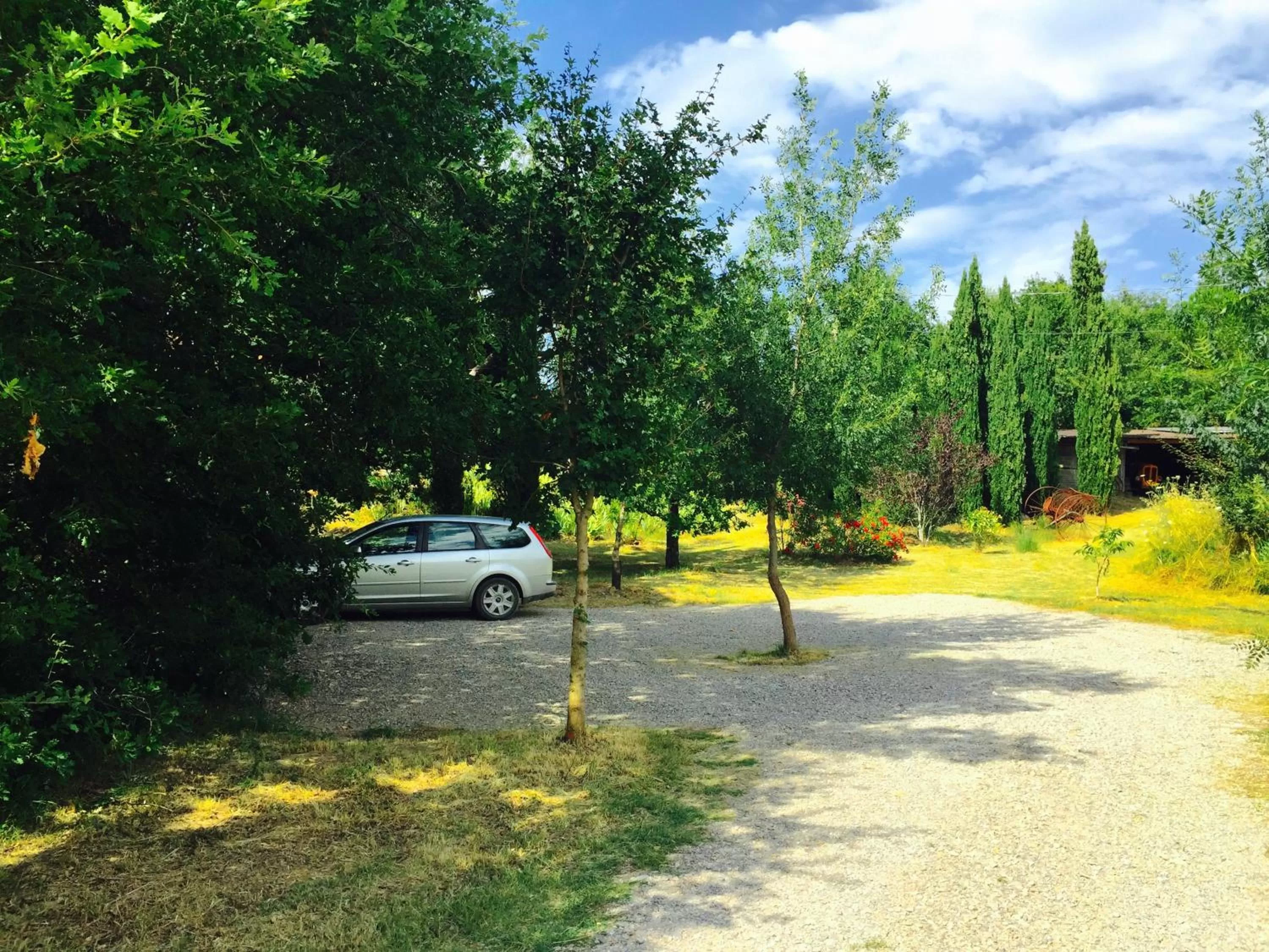 Day in Podere Pinzicalari