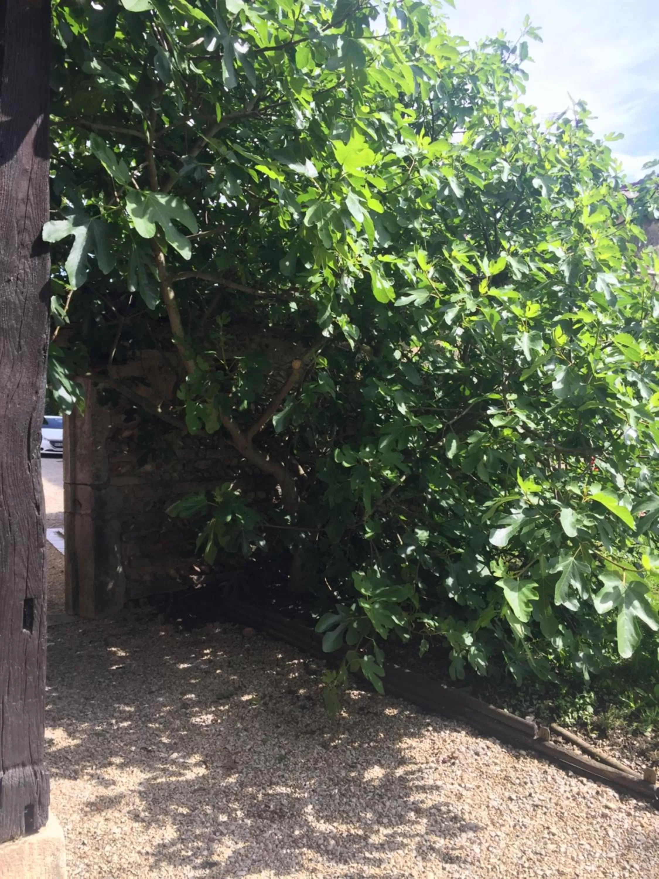 Le Moulin de Champagne