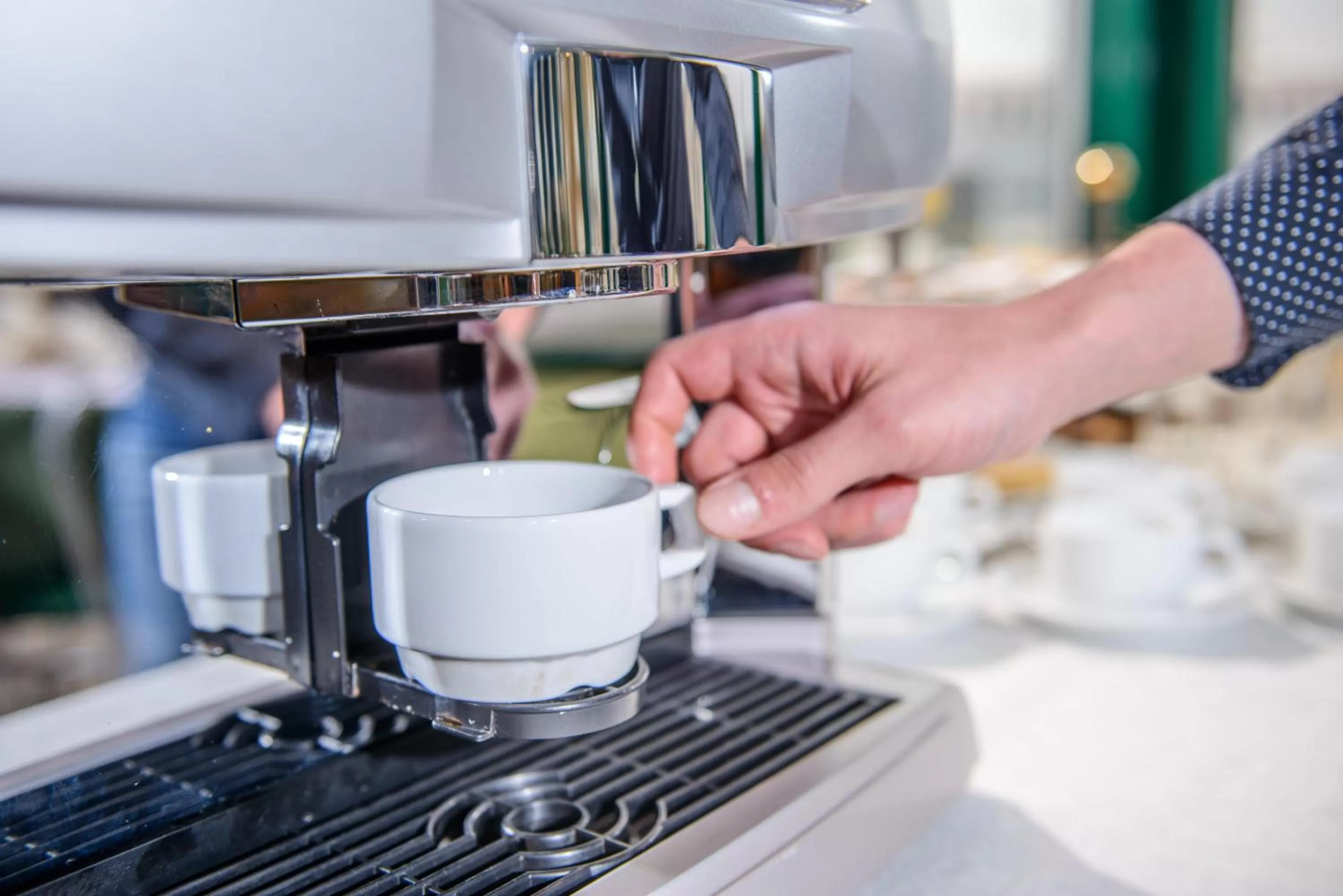 Restaurant/places to eat in Hotel Zemaites