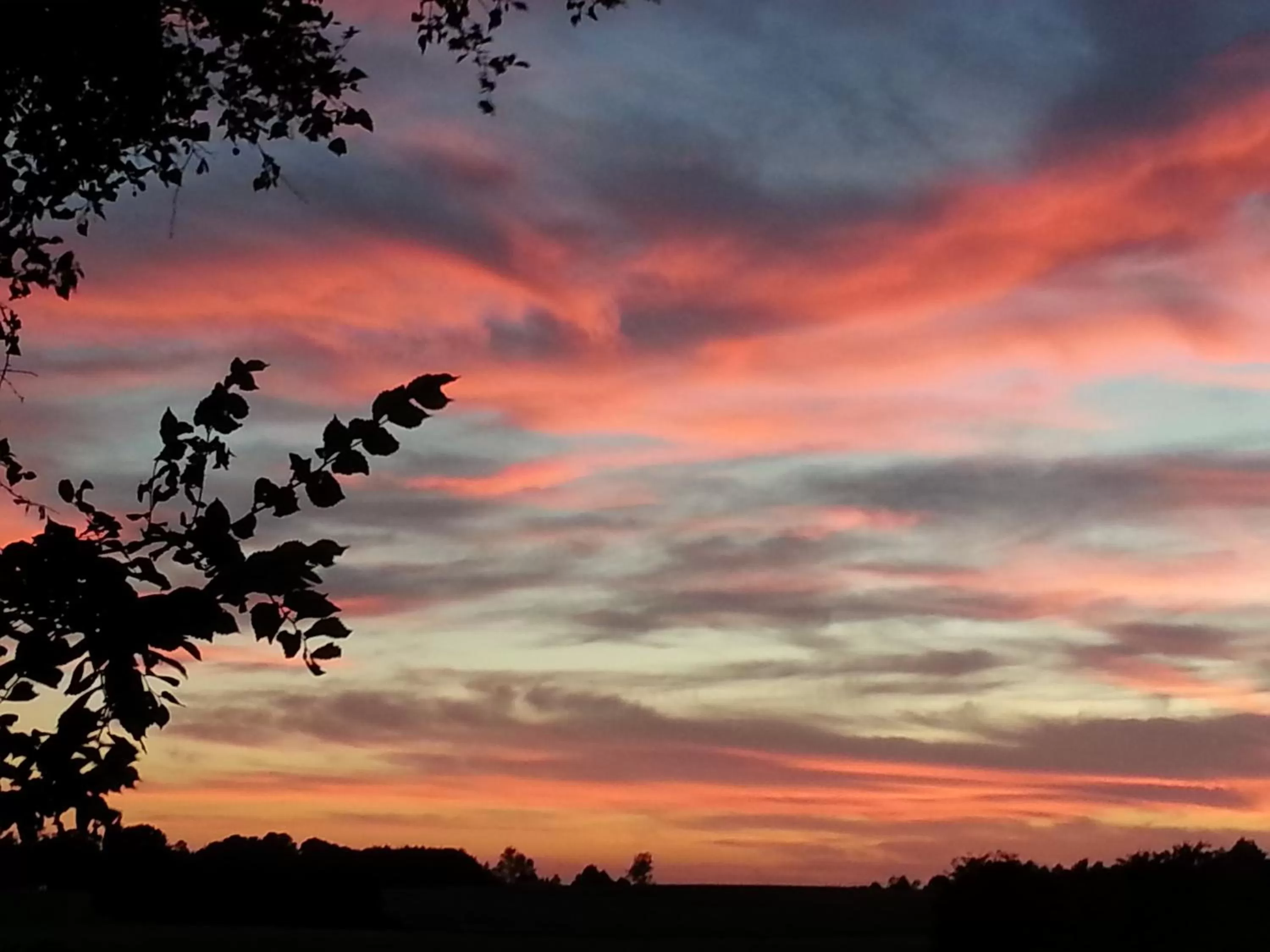 Natural landscape in Roskilde B&B