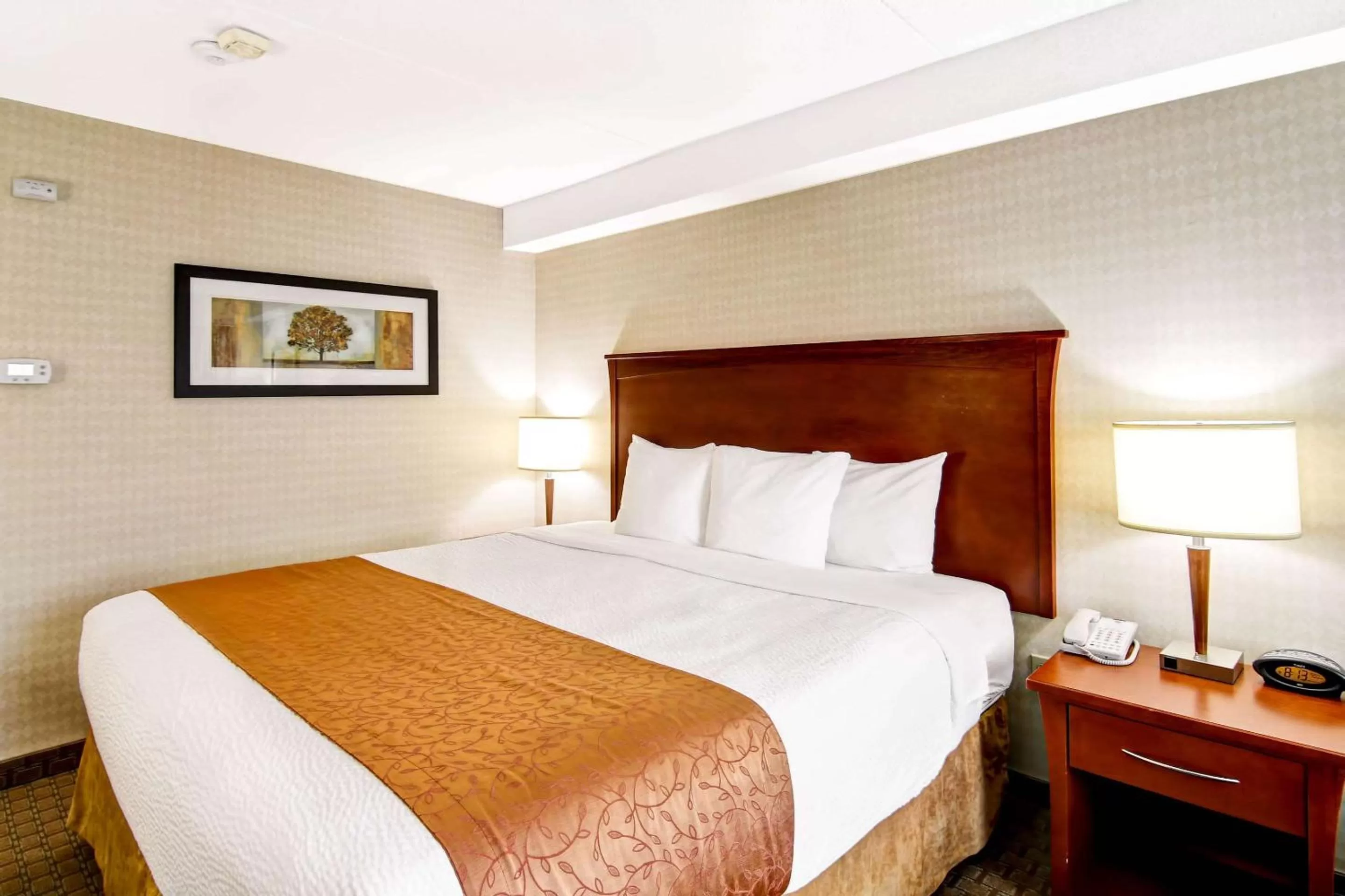 Photo of the whole room, Bed in Quality Inn