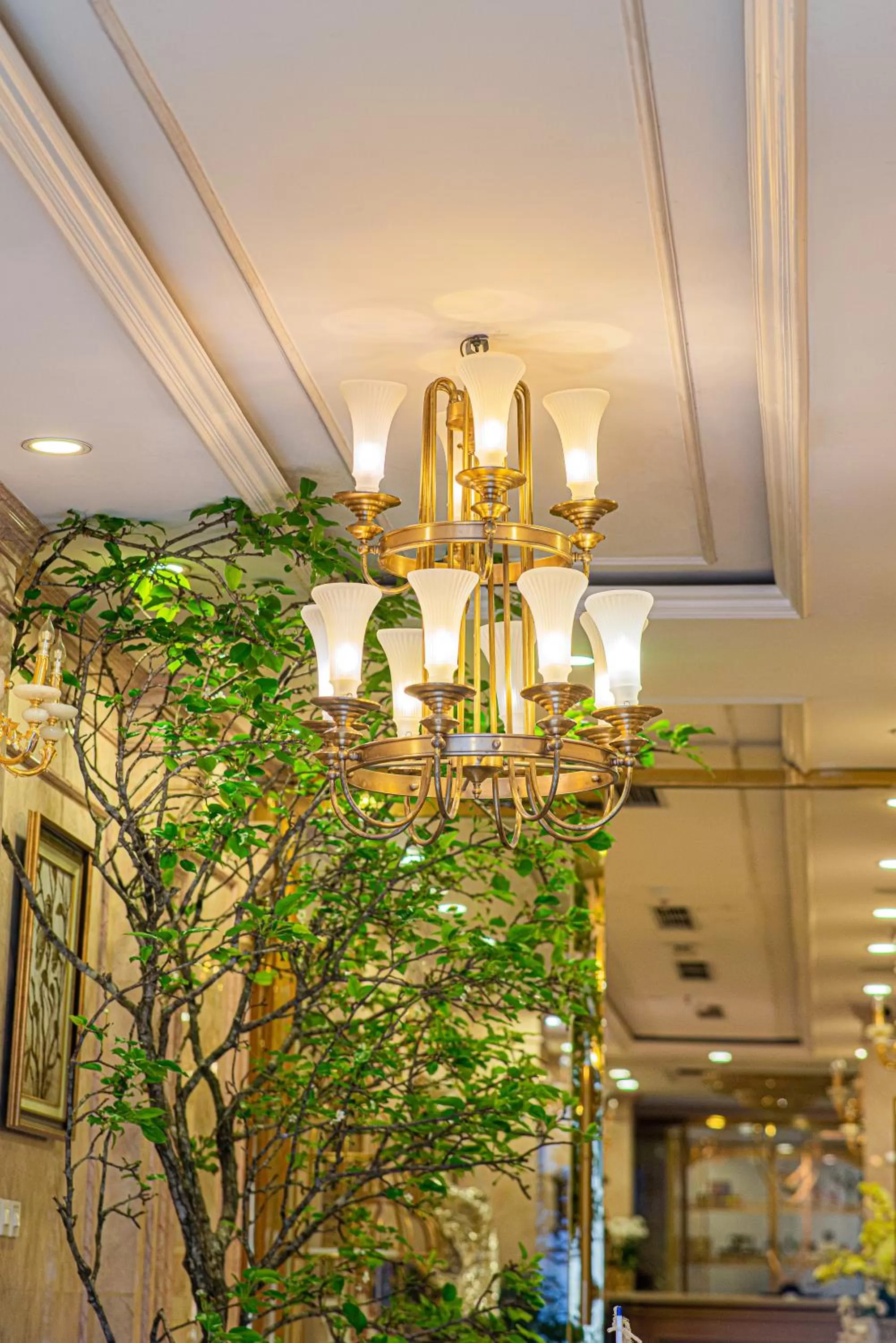 Property building in Affa Boutique Hotel