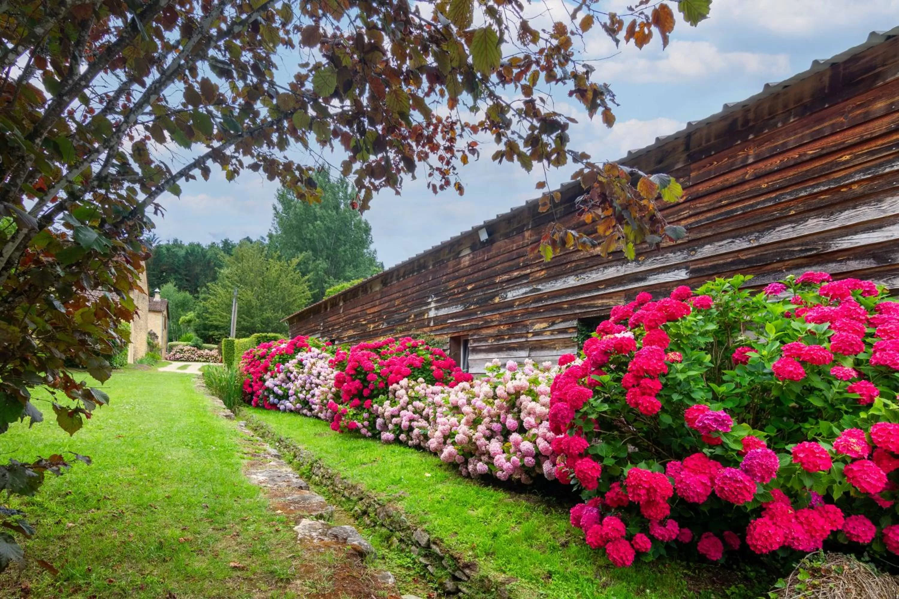 Garden view, Garden in Le Clos Vallis
