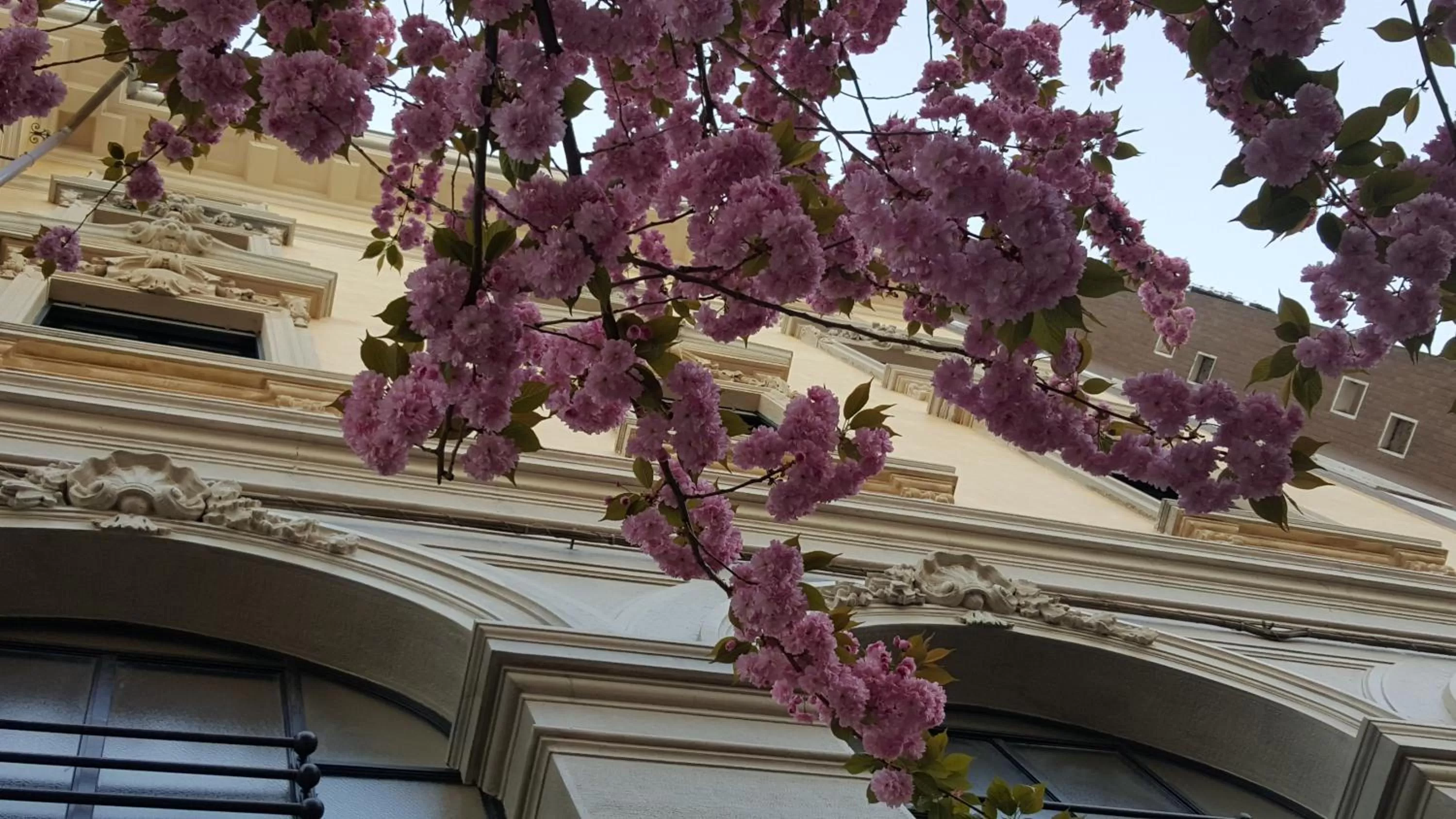 Spring in Hotel La Nuova Rotaia