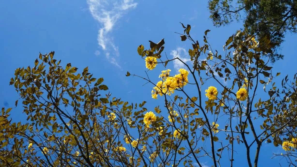 Natural landscape in Hospedaje La Naciente
