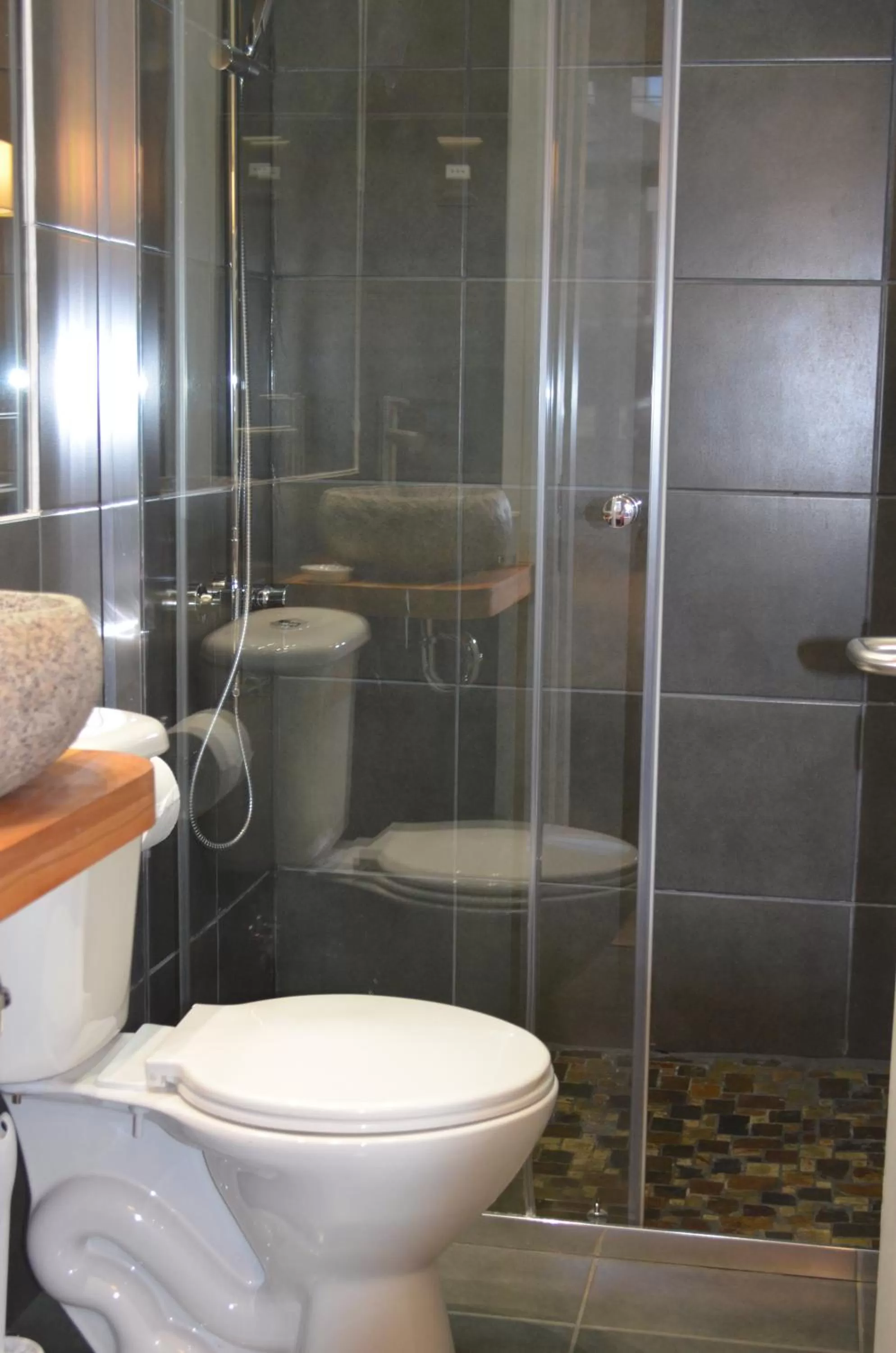 Shower, Bathroom in Hostal Boutique Puerta Roja