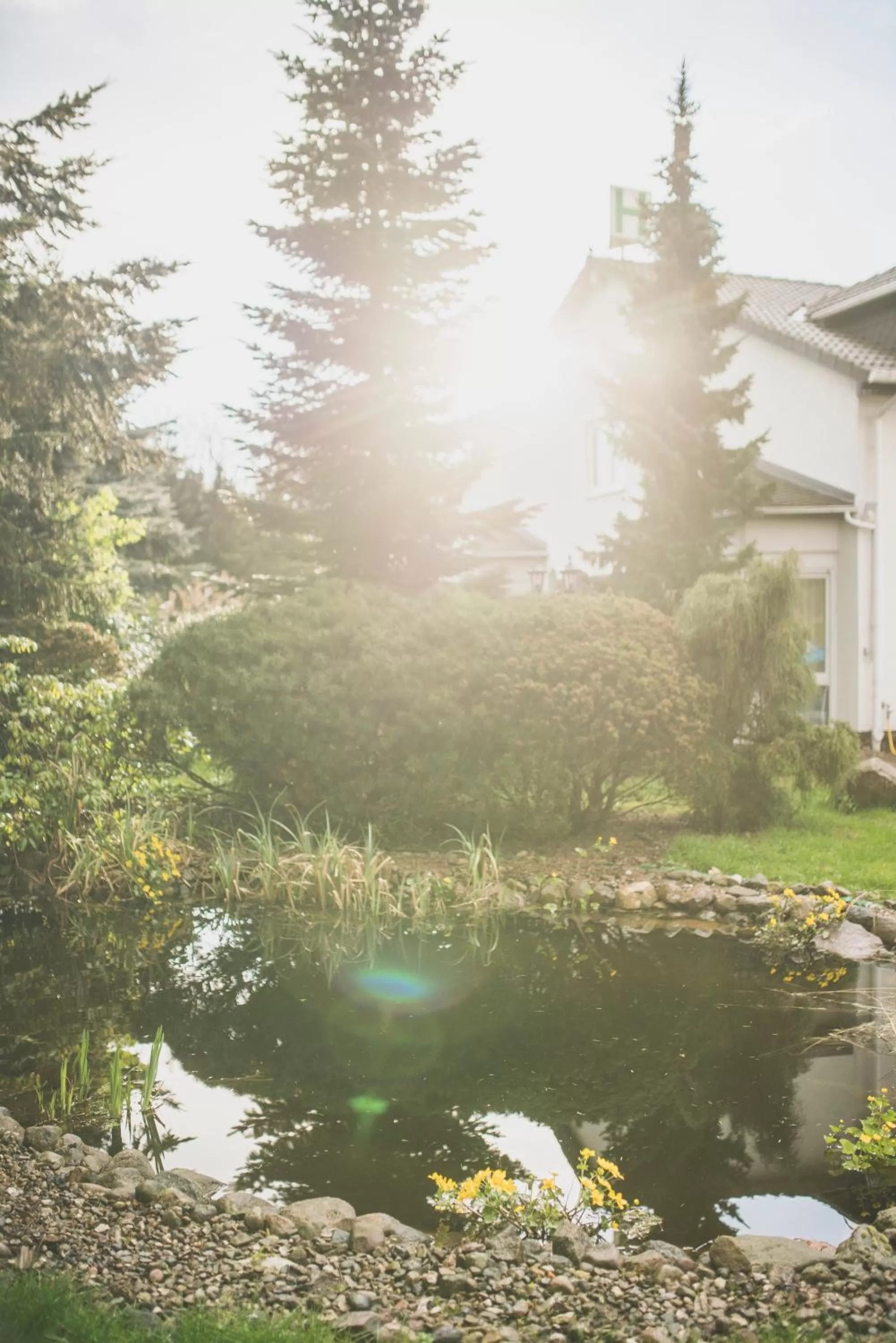 Garden view in Das FRITZ Hotel