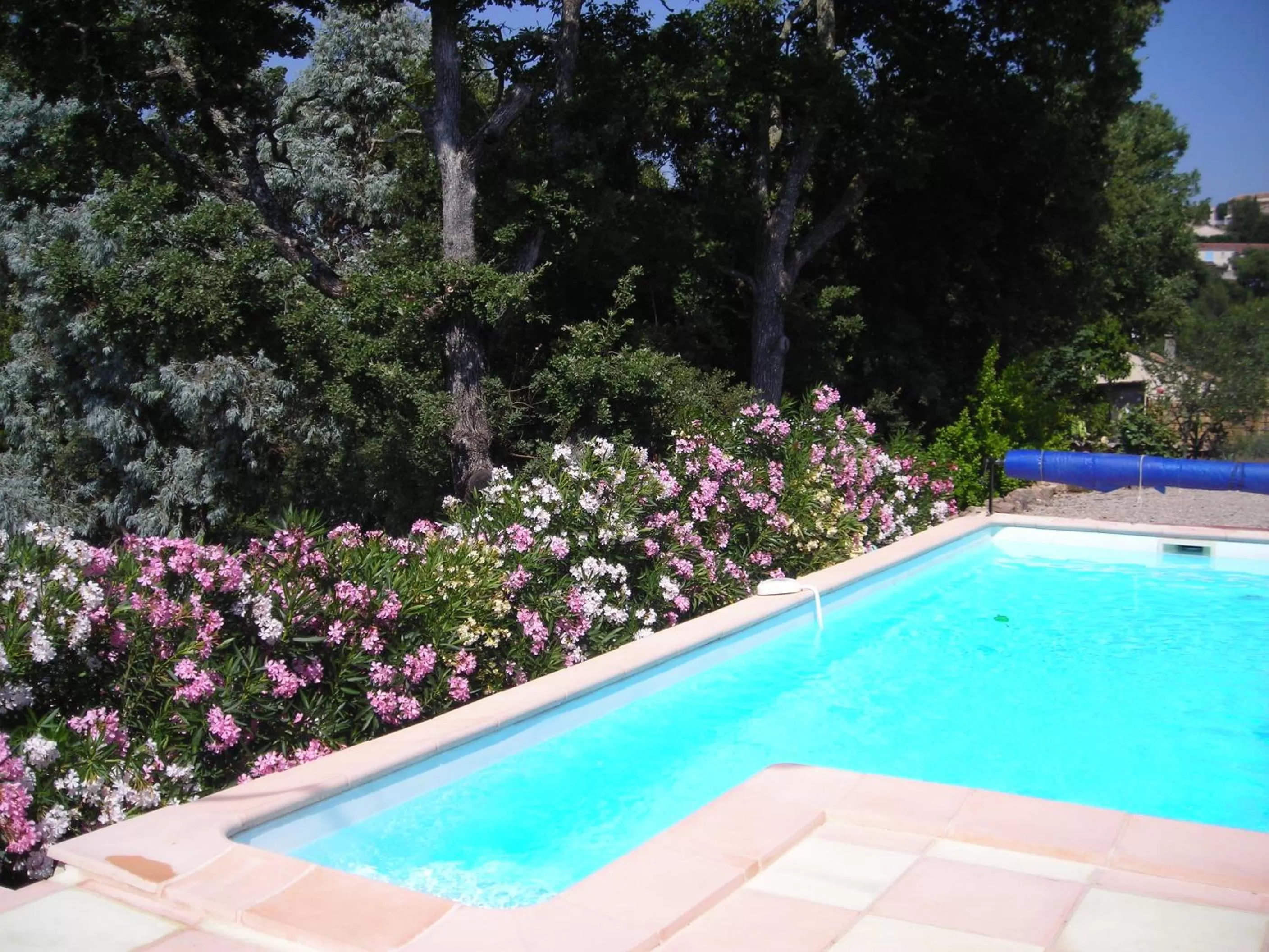 Swimming Pool in La villa Sam