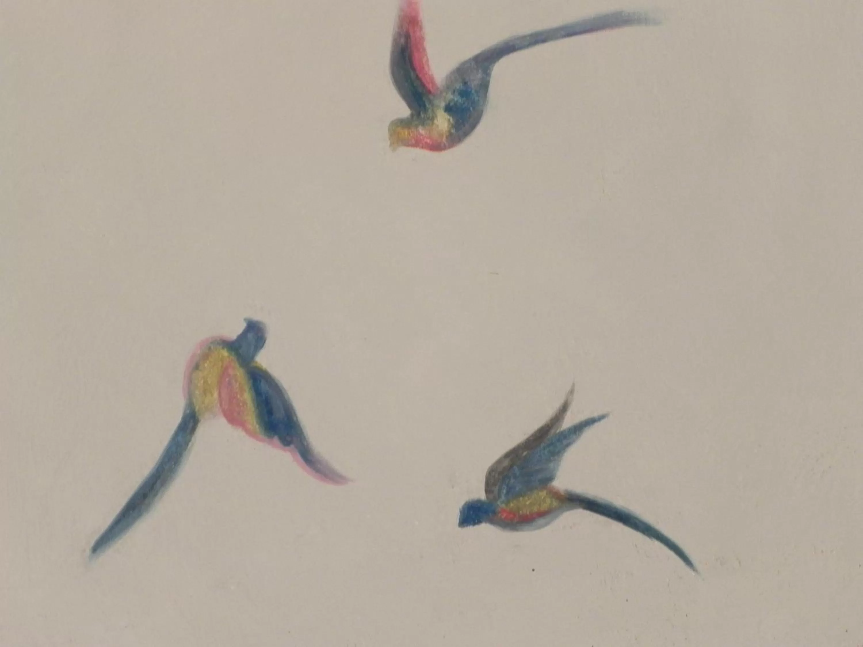 Decorative detail in Palazzo del Verga