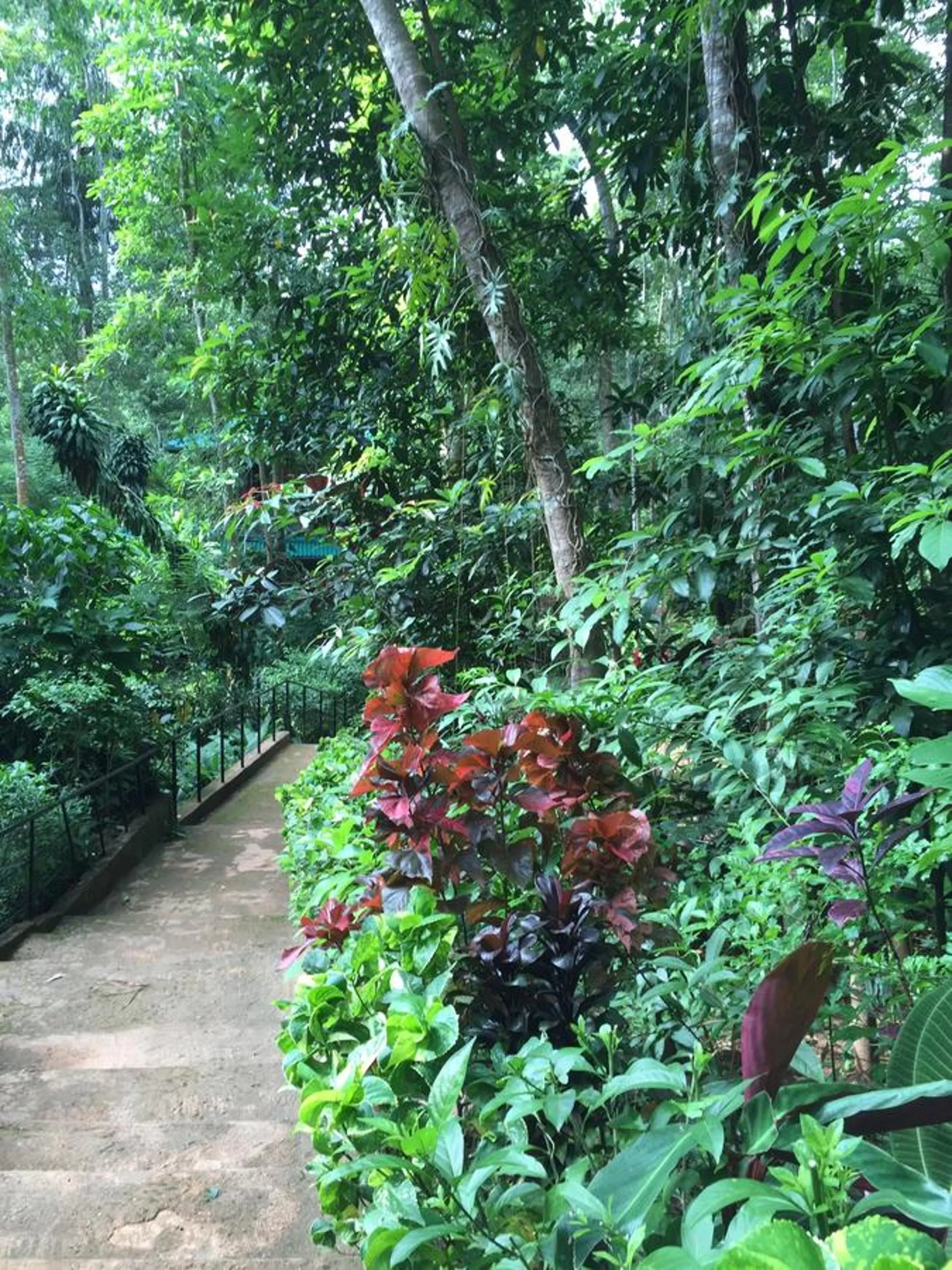 Property building in Le leopard d 'argent