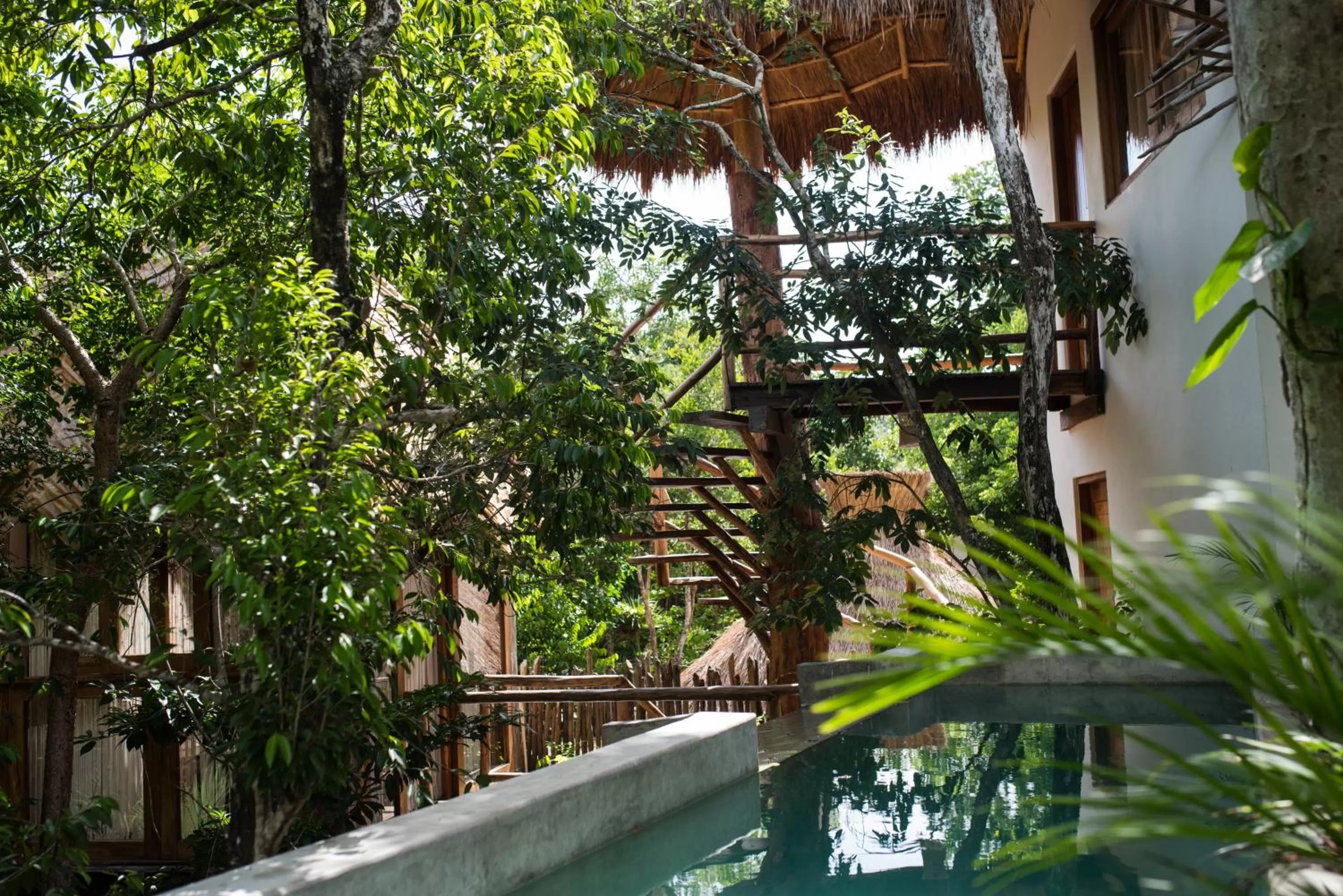 Patio in Orchid House Tulum Jungle