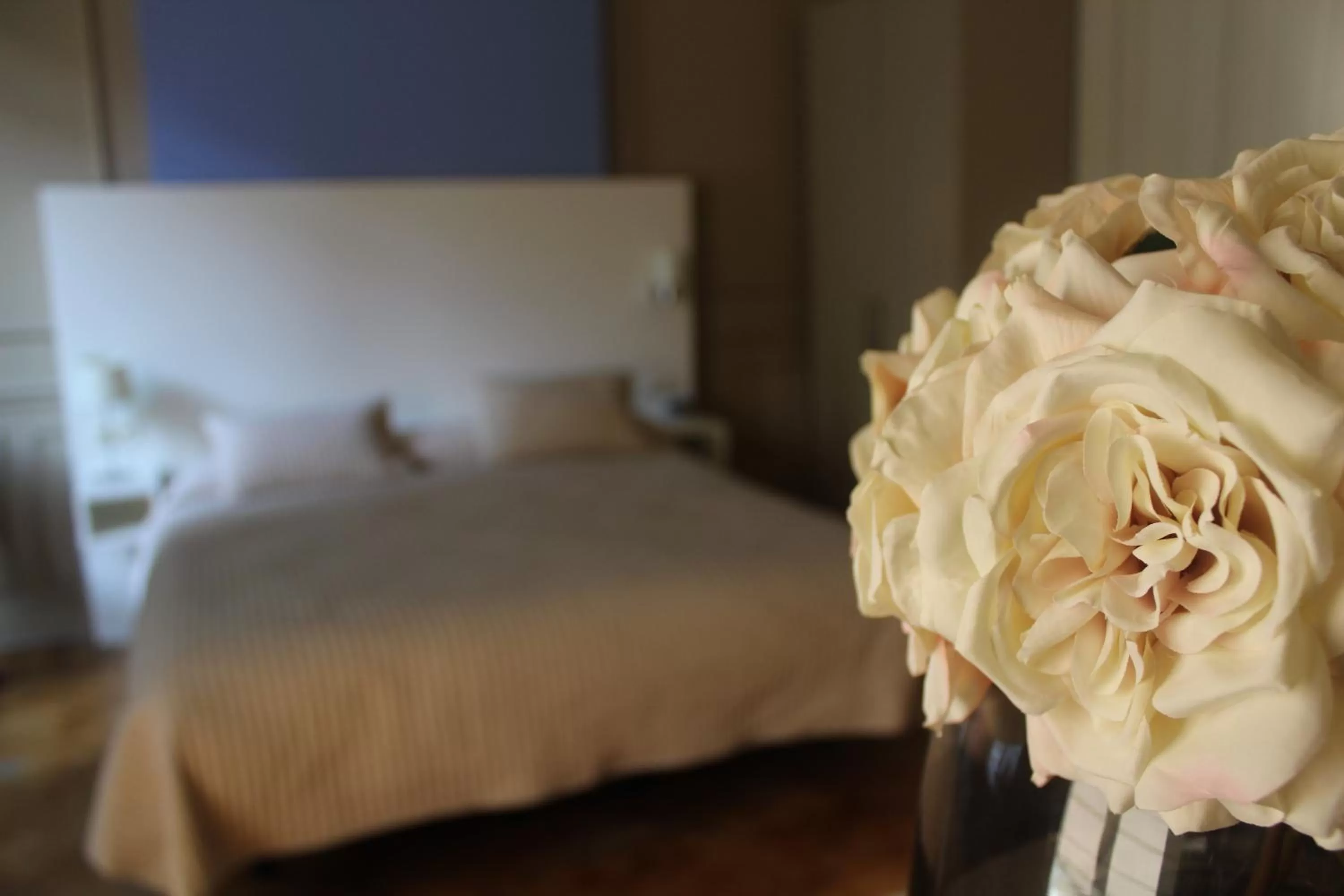 View (from property/room) in MAS Aparthotel EU