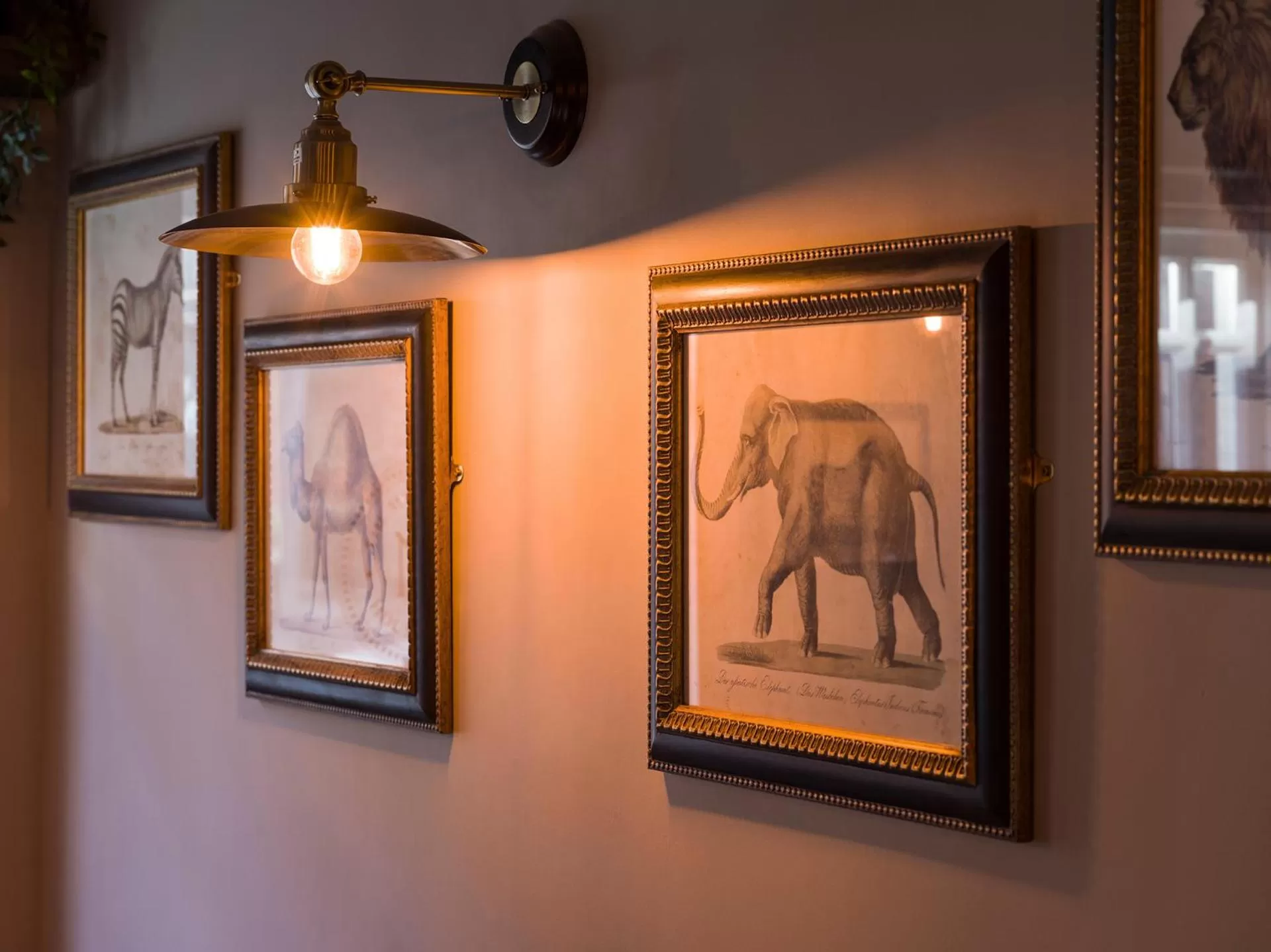 Decorative detail in The Merchant's House, BW Signature Collection