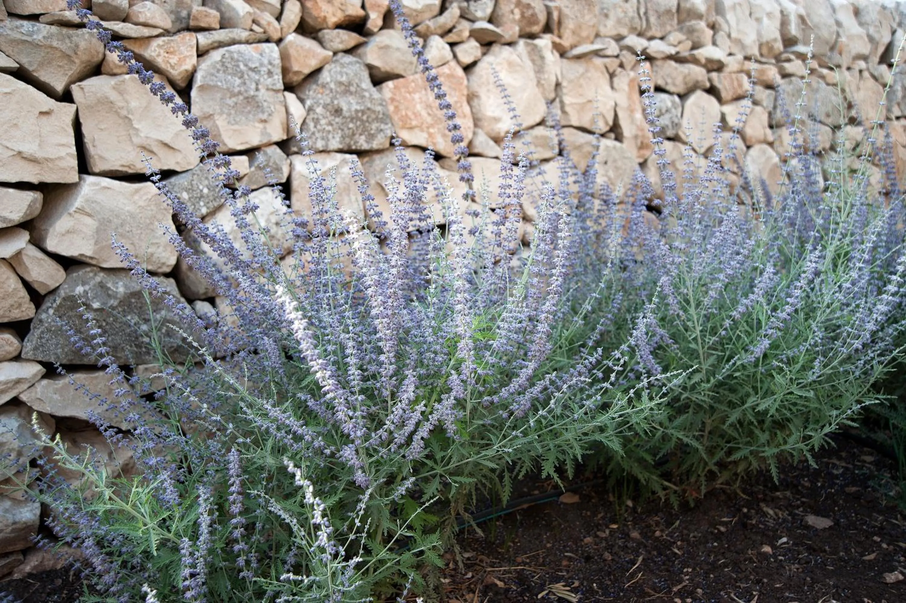 Decorative detail in La Dimora di Spartivento - BW Signature Collection