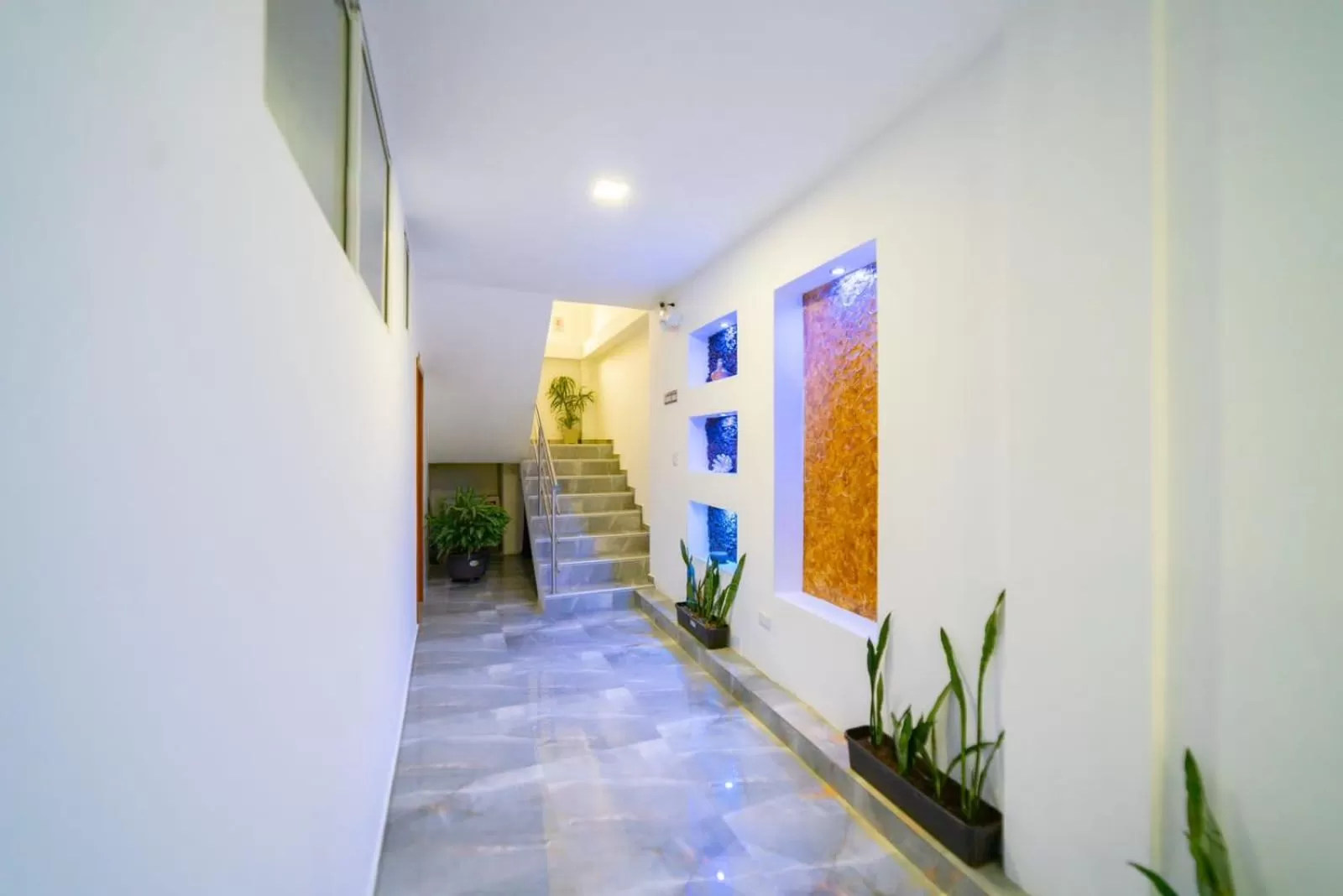 Property building in Patty House Galapagos