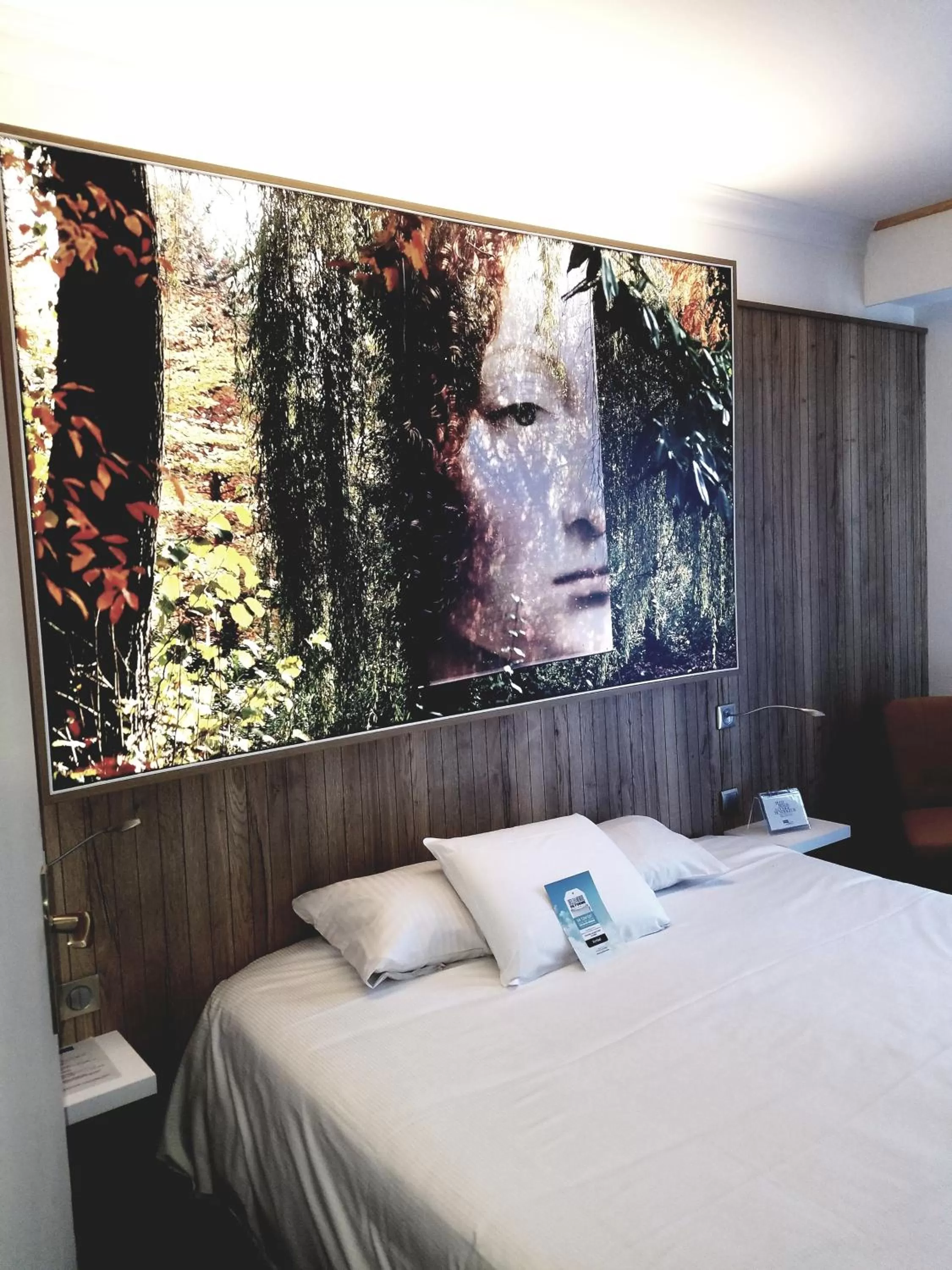 Bed in Kyriad Hotel Tours Centre