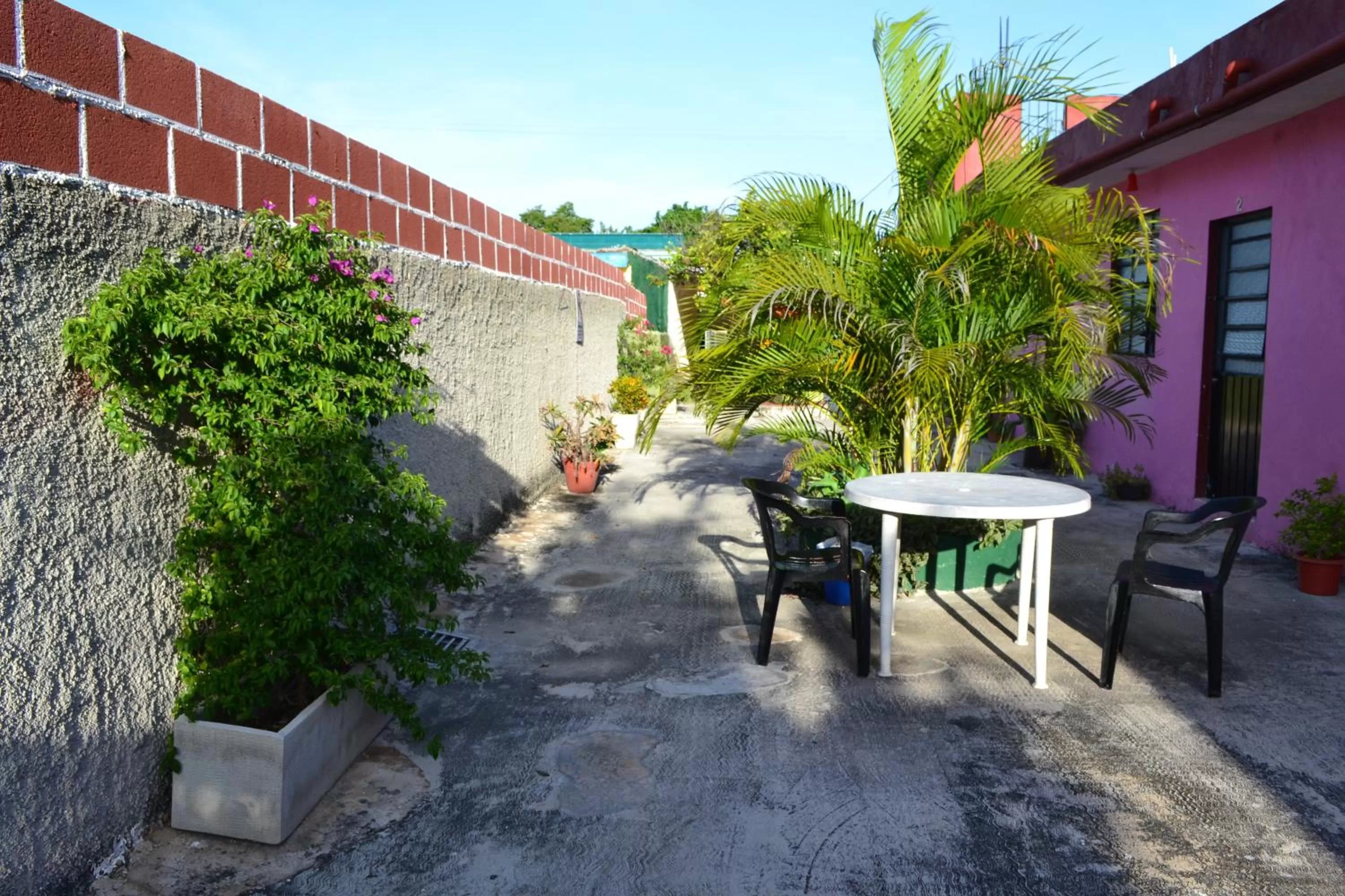 Garden in Casa Cuevas & Amaro