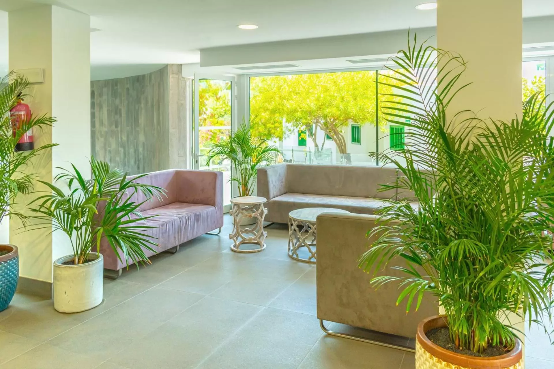 Living room in Hyde Park Lane