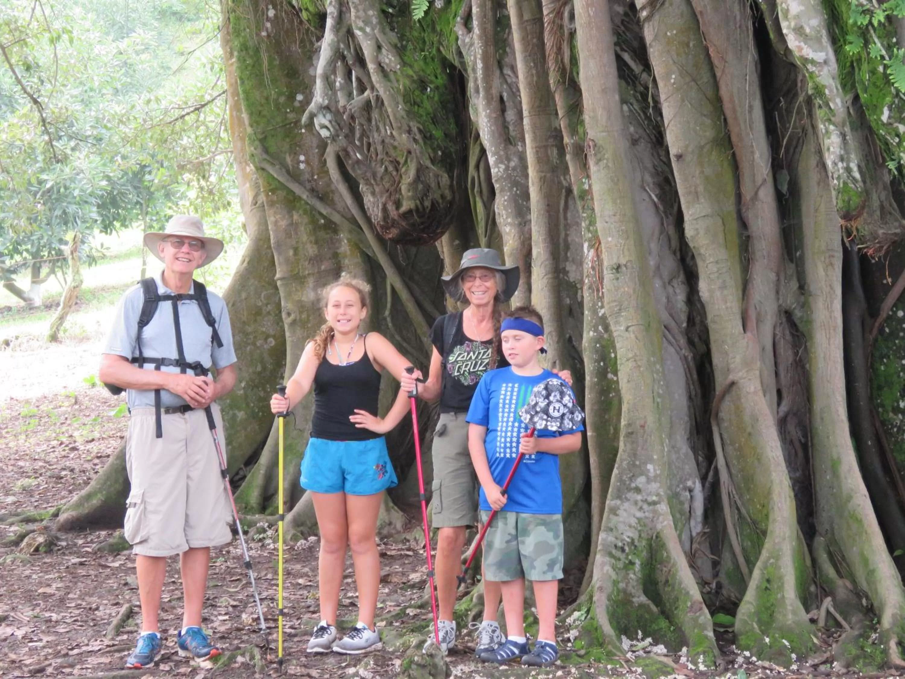 Natural landscape in Hotel Casa Alvarada