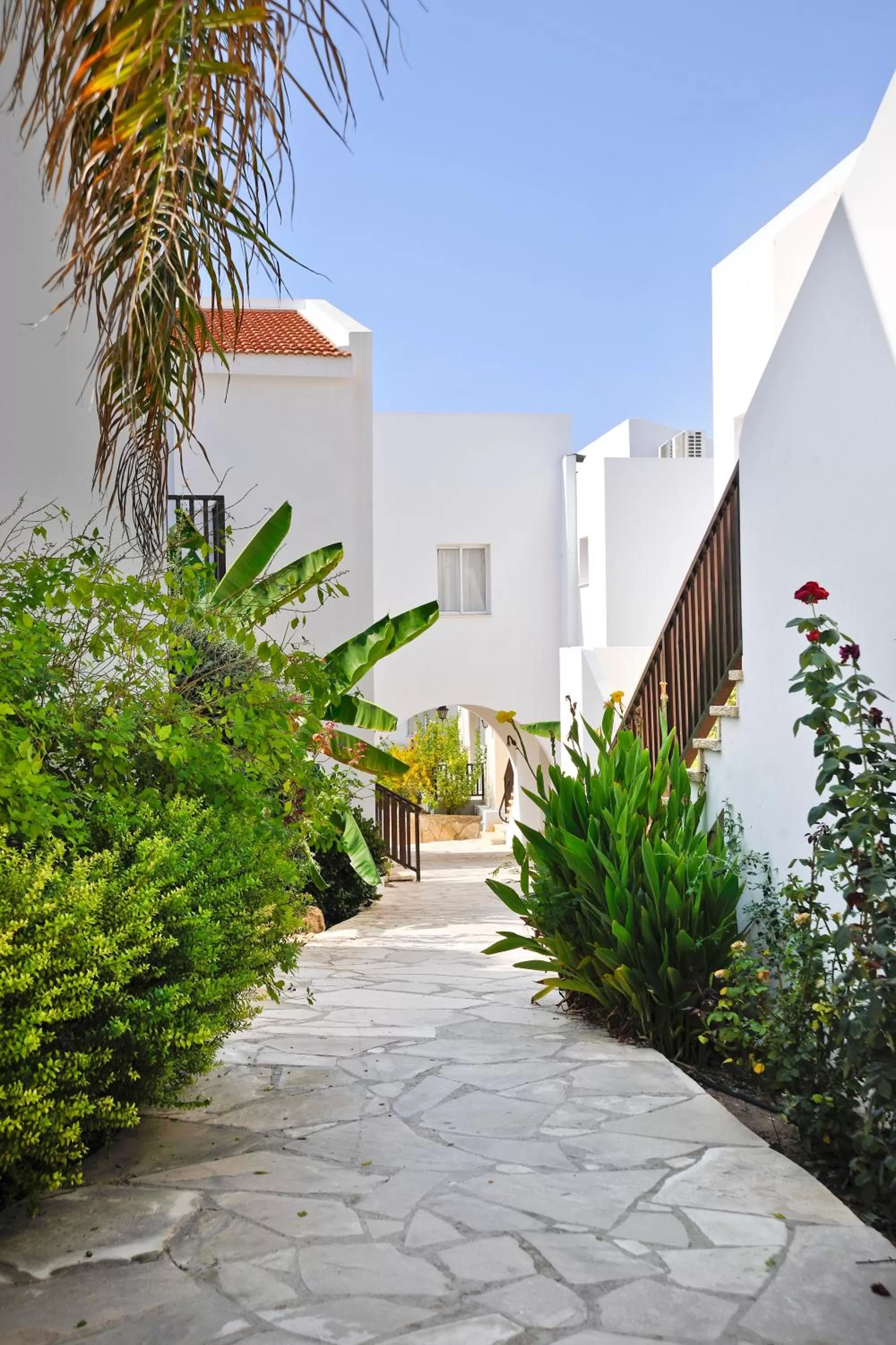 Garden in Akti Beach Hotel & Village Resort