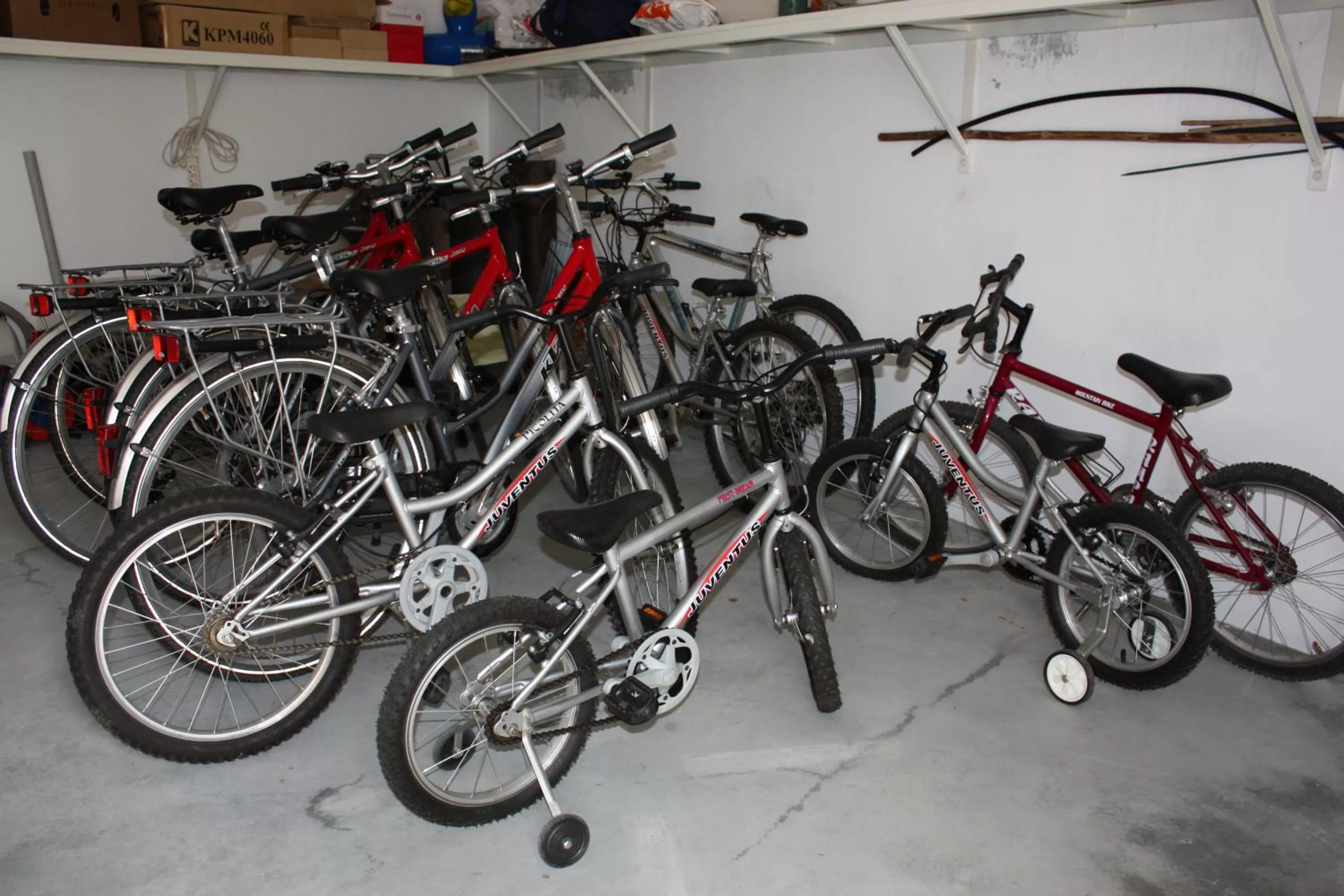 Activities in Hotel Rural Quinta de Sao Sebastiao