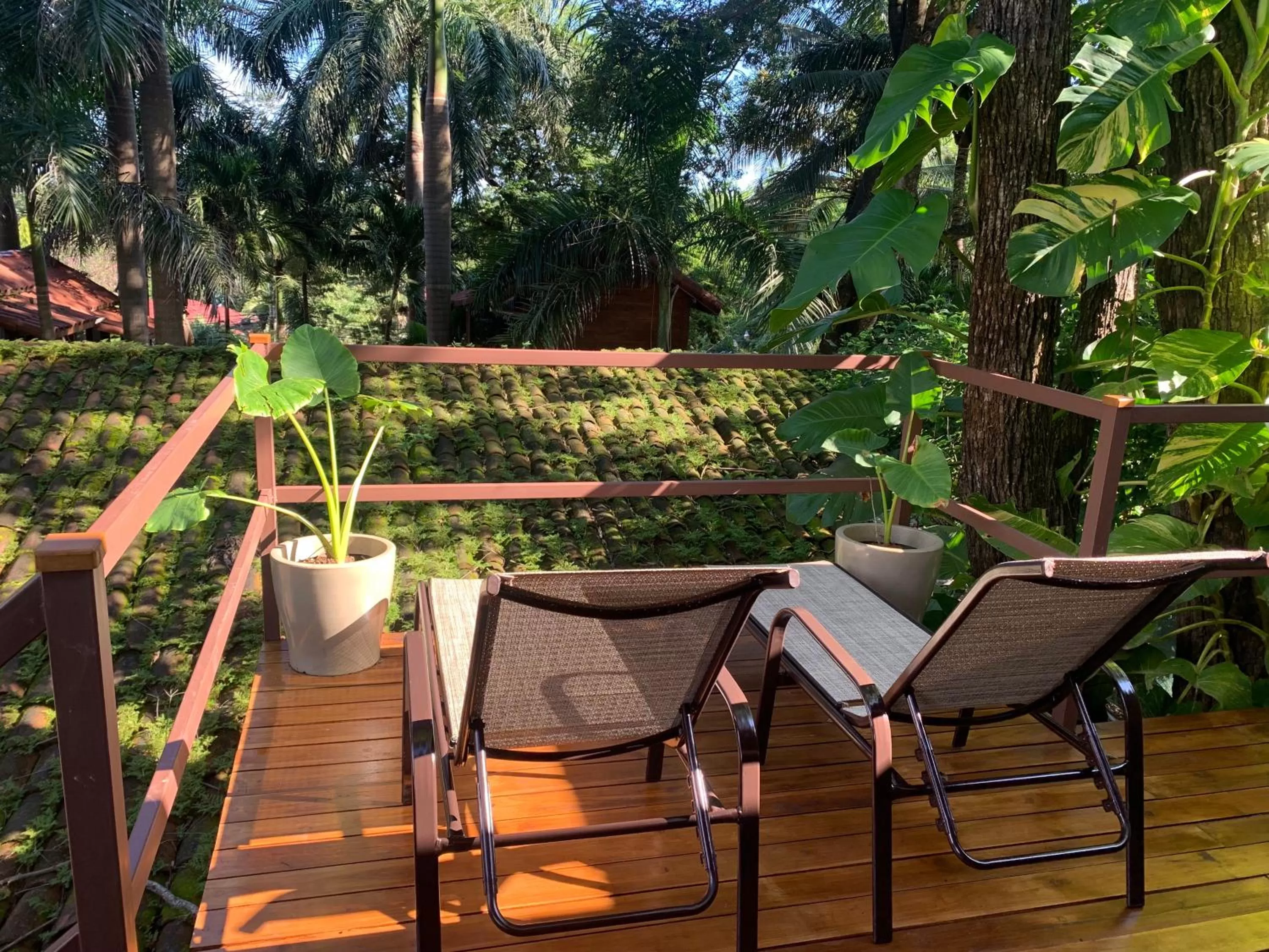 The Beach Bungalows - Yoga and Surf Hotel - Adults Only