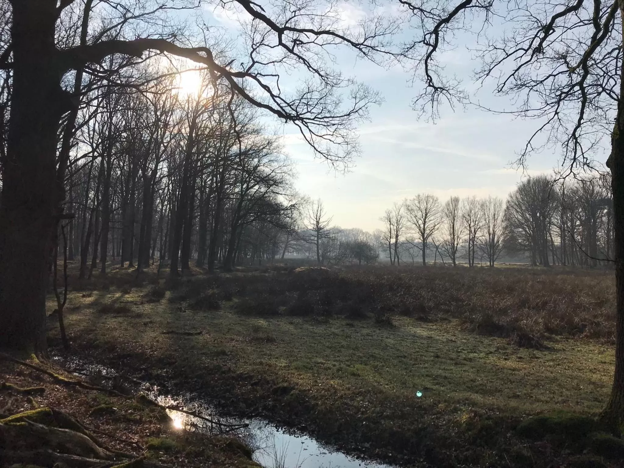 Natural landscape in De Kempse Hoeve B&B