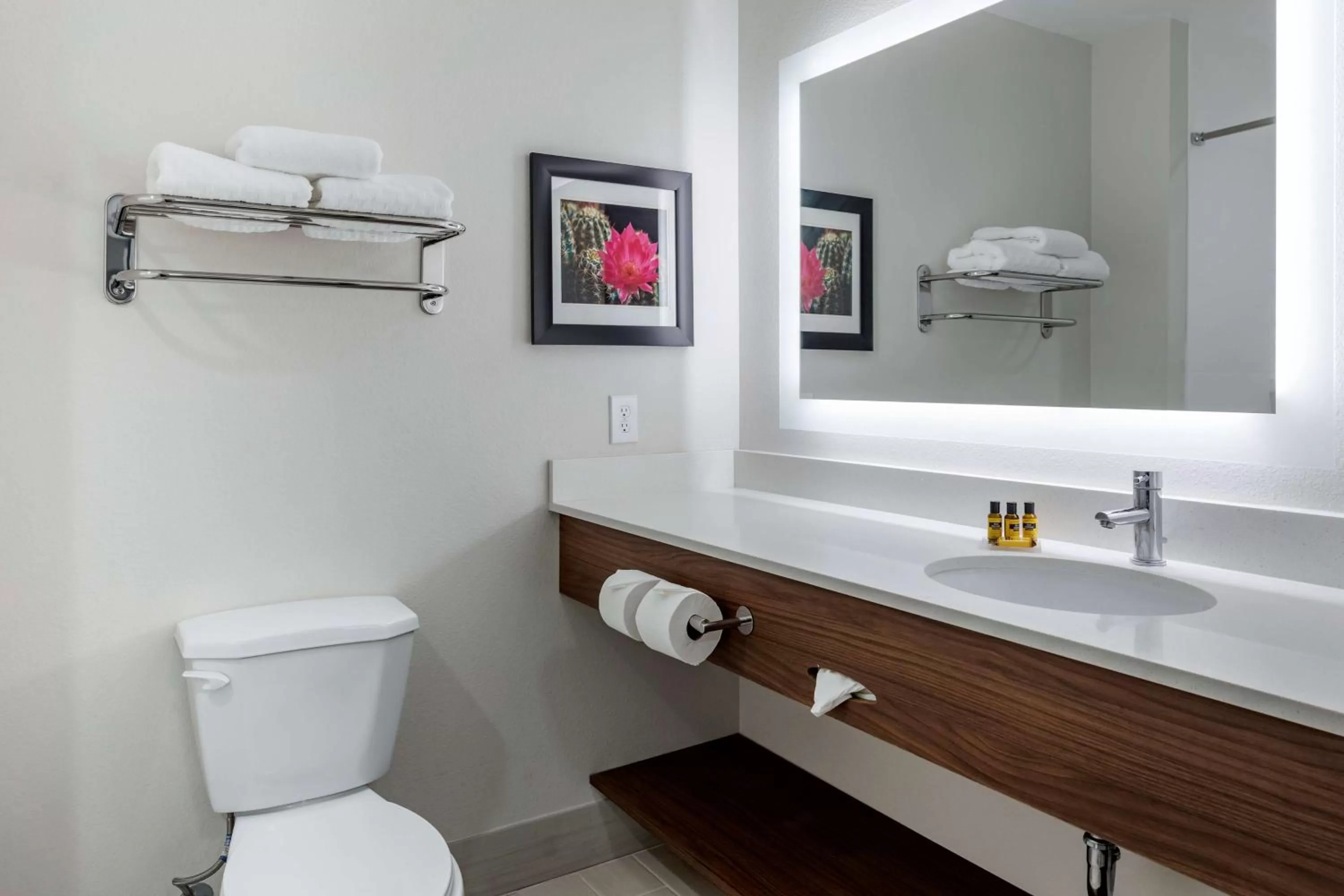 Bathroom in Best Western Plus Coachella Valley Inn & Suites