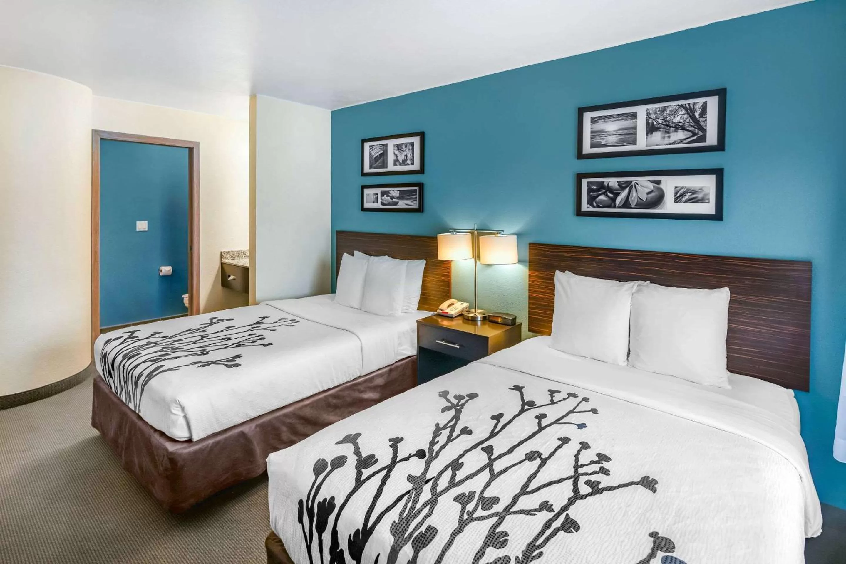 Photo of the whole room, Bed in Sleep Inn near Washington State Line