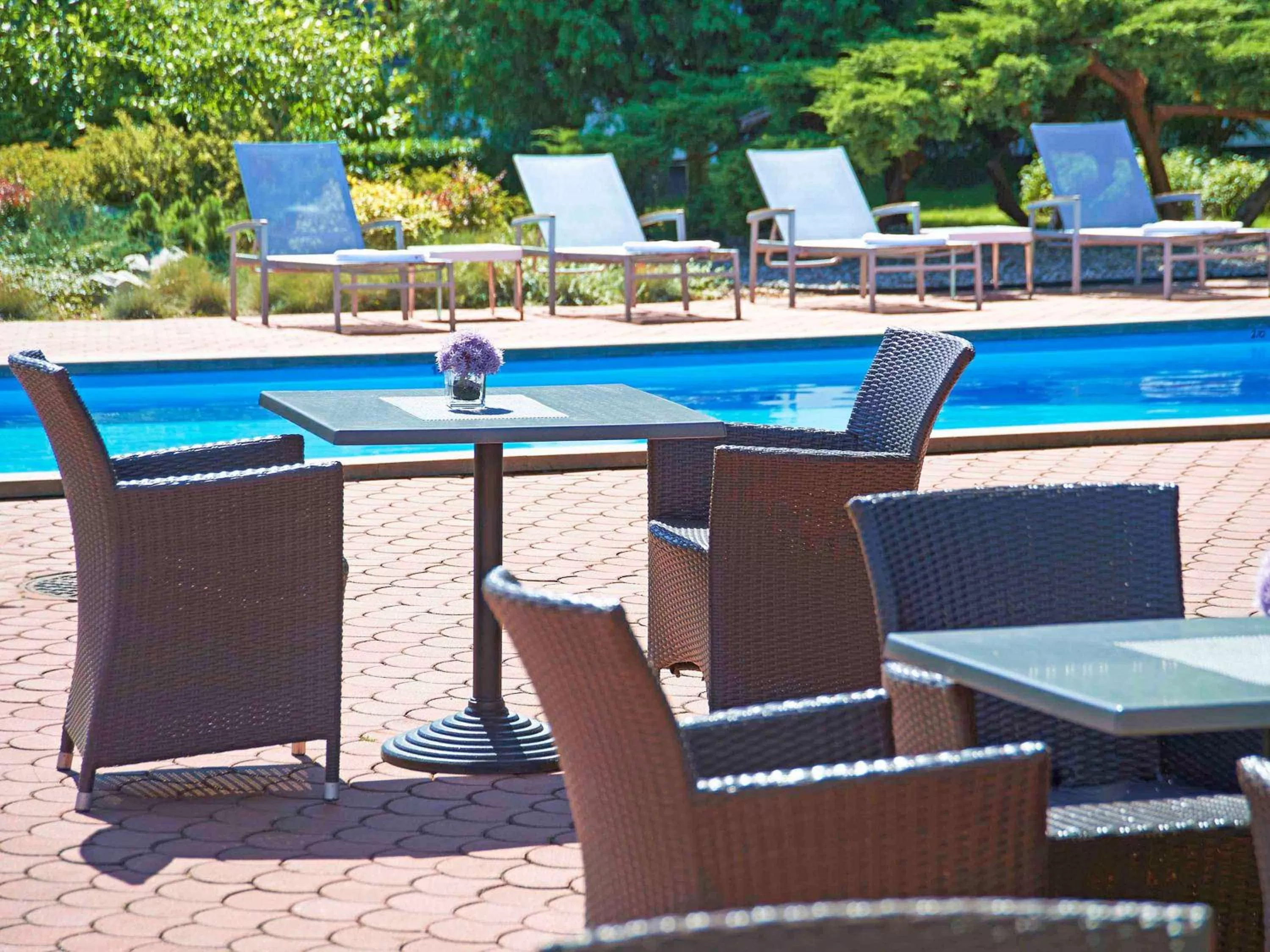 Lounge or bar in Novotel Poznań Malta