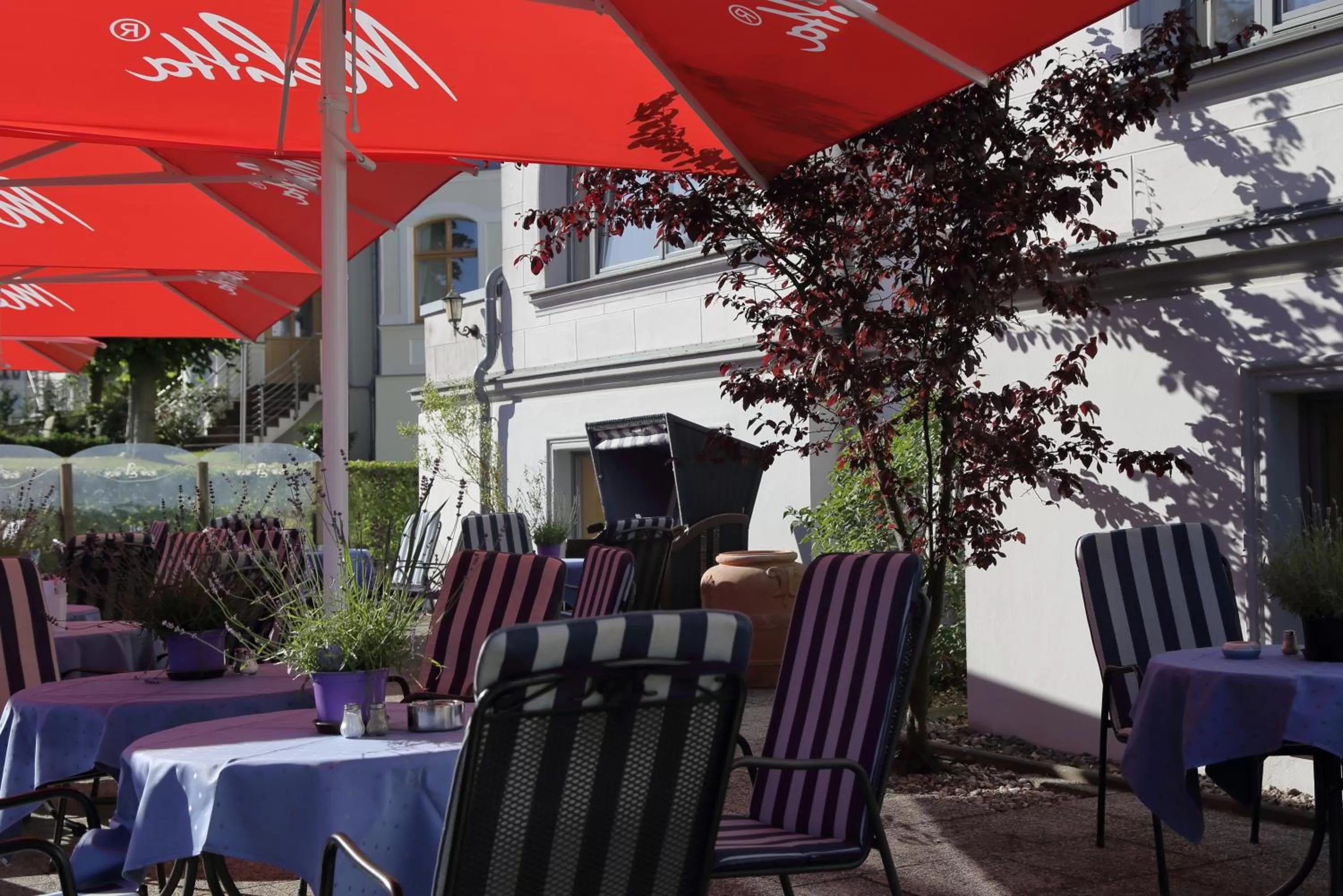 Patio in Hotel Asgard