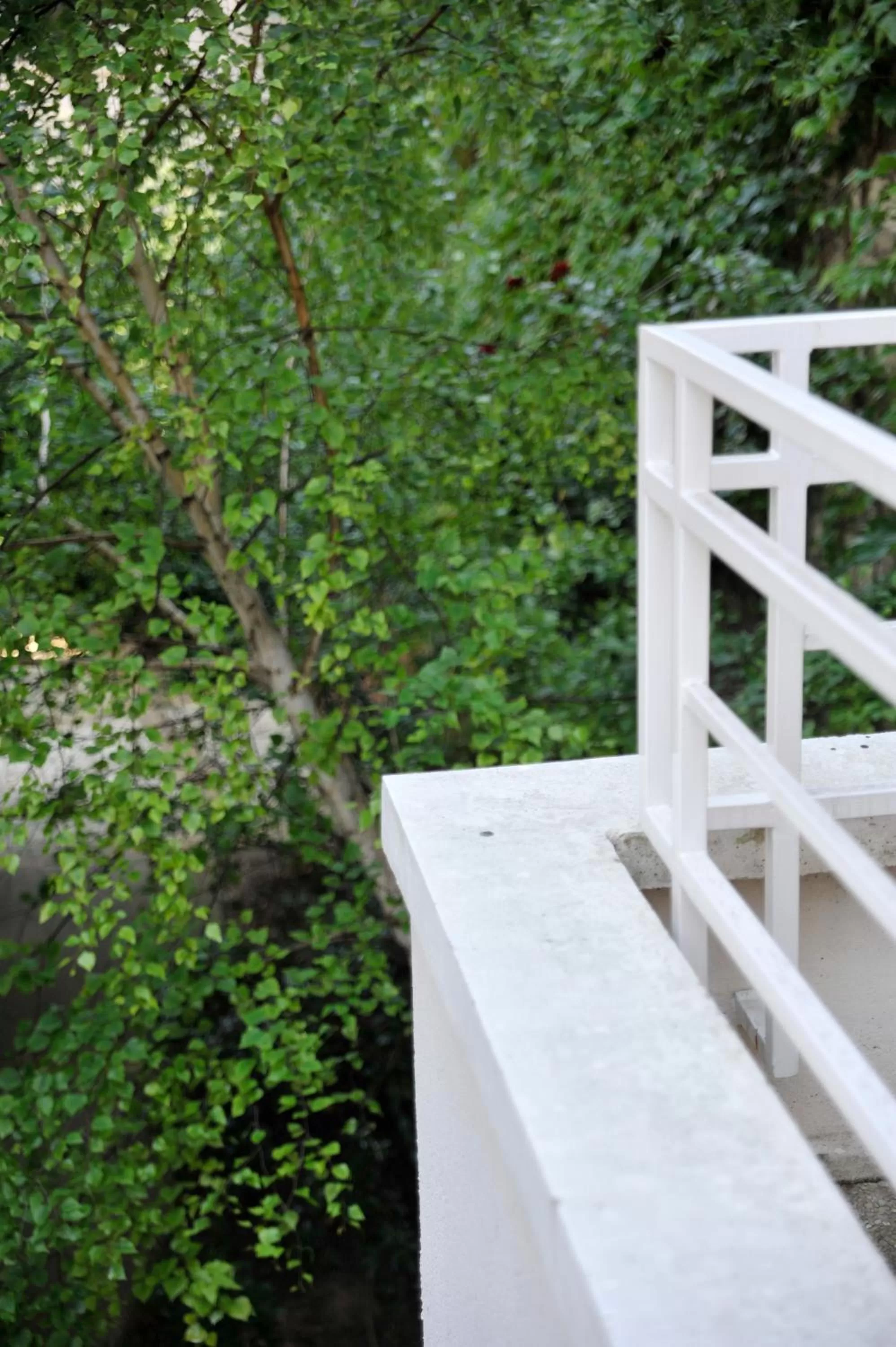 Balcony/Terrace in HOTEL DE PARIS MONTPARNASSE