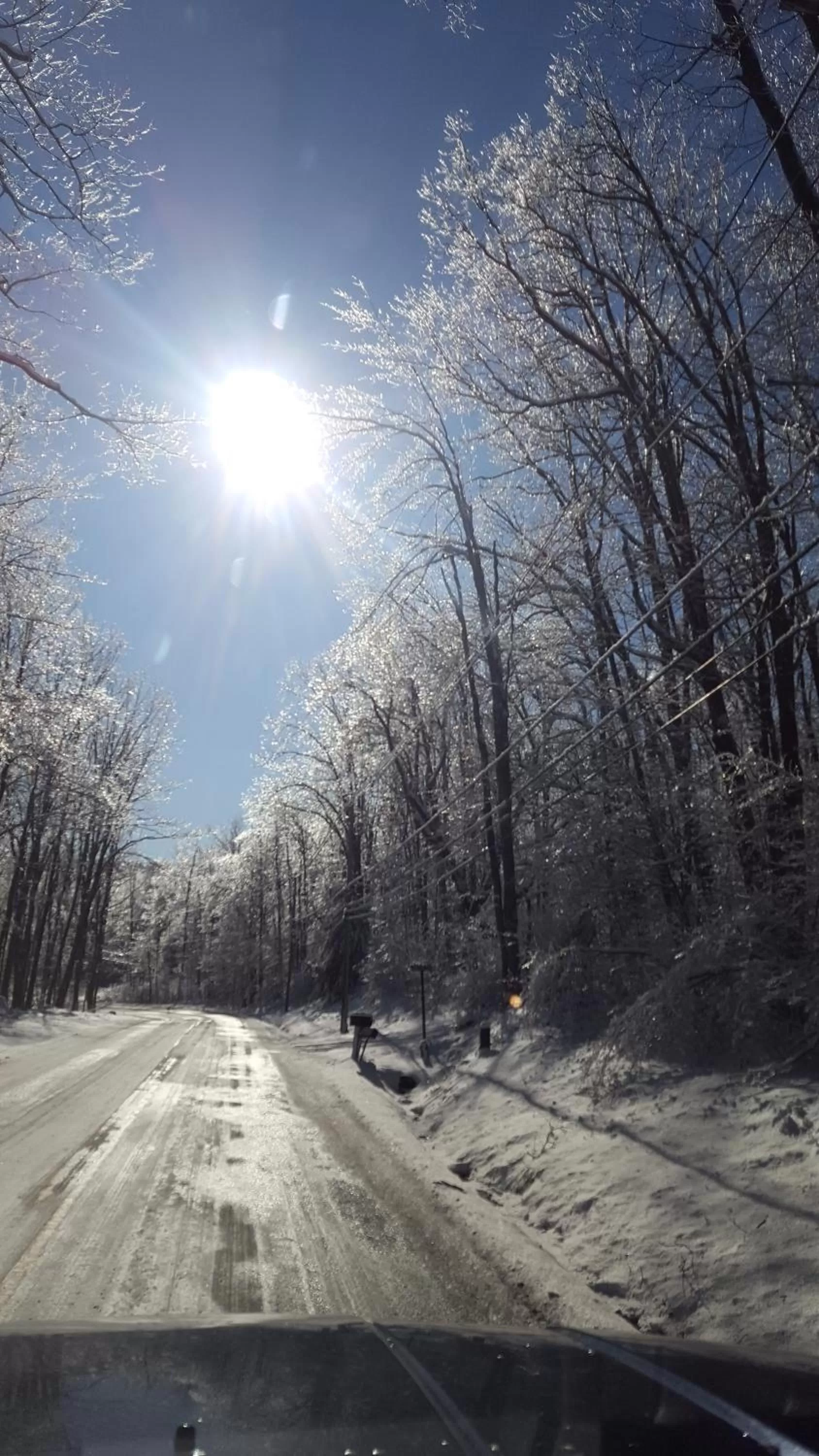 Natural landscape in The Garrett Inn