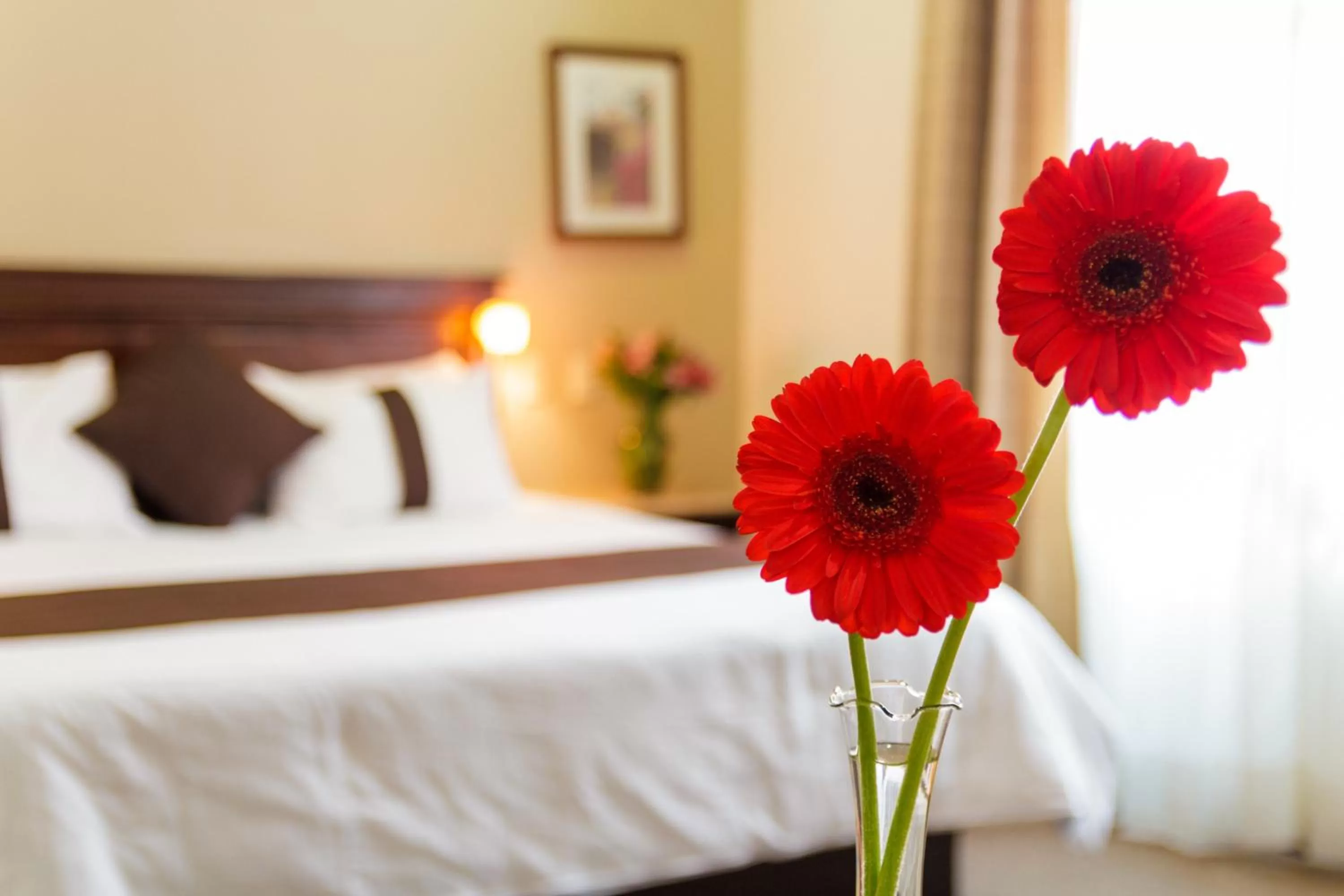 Decorative detail, Bed in Mision Catedral Morelia