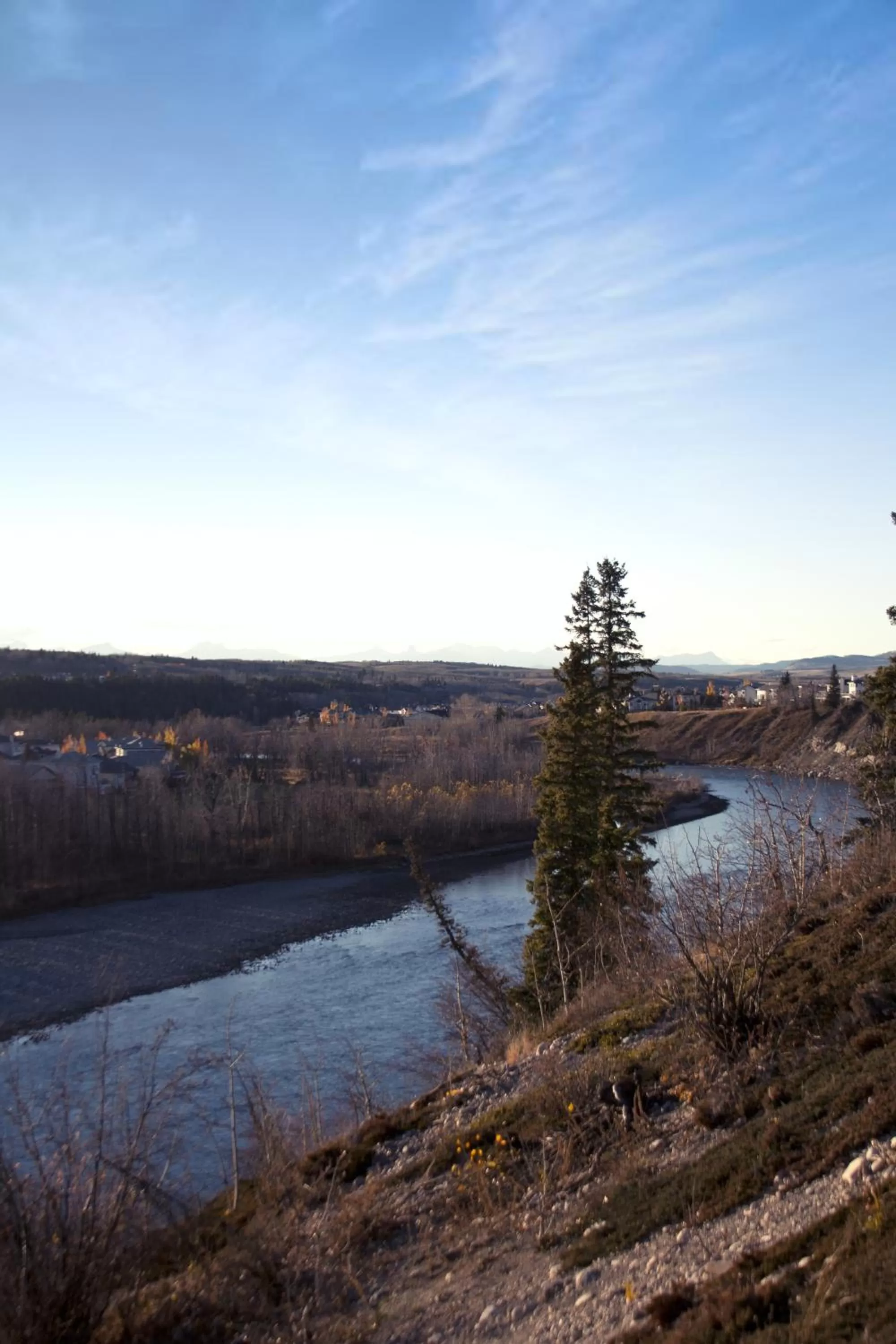 Area and facilities in Bow River Inn