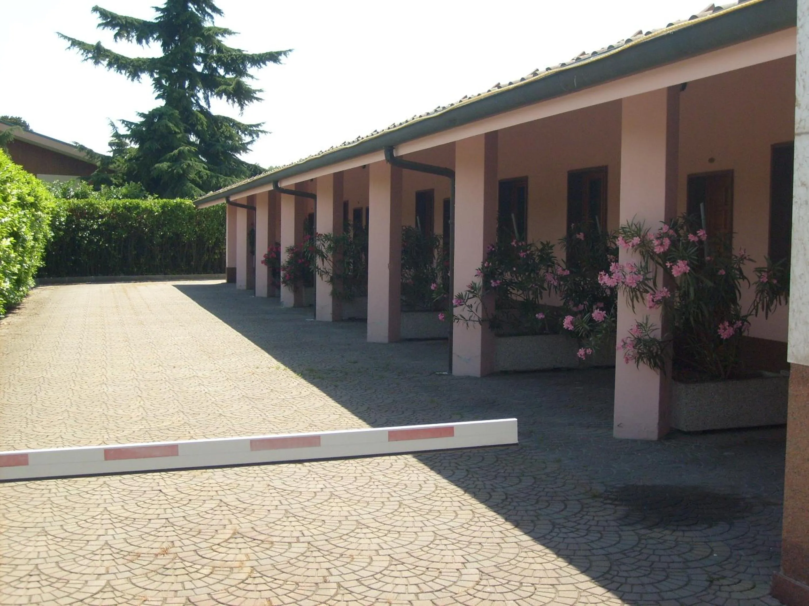 Other in Hotel Motel Flower