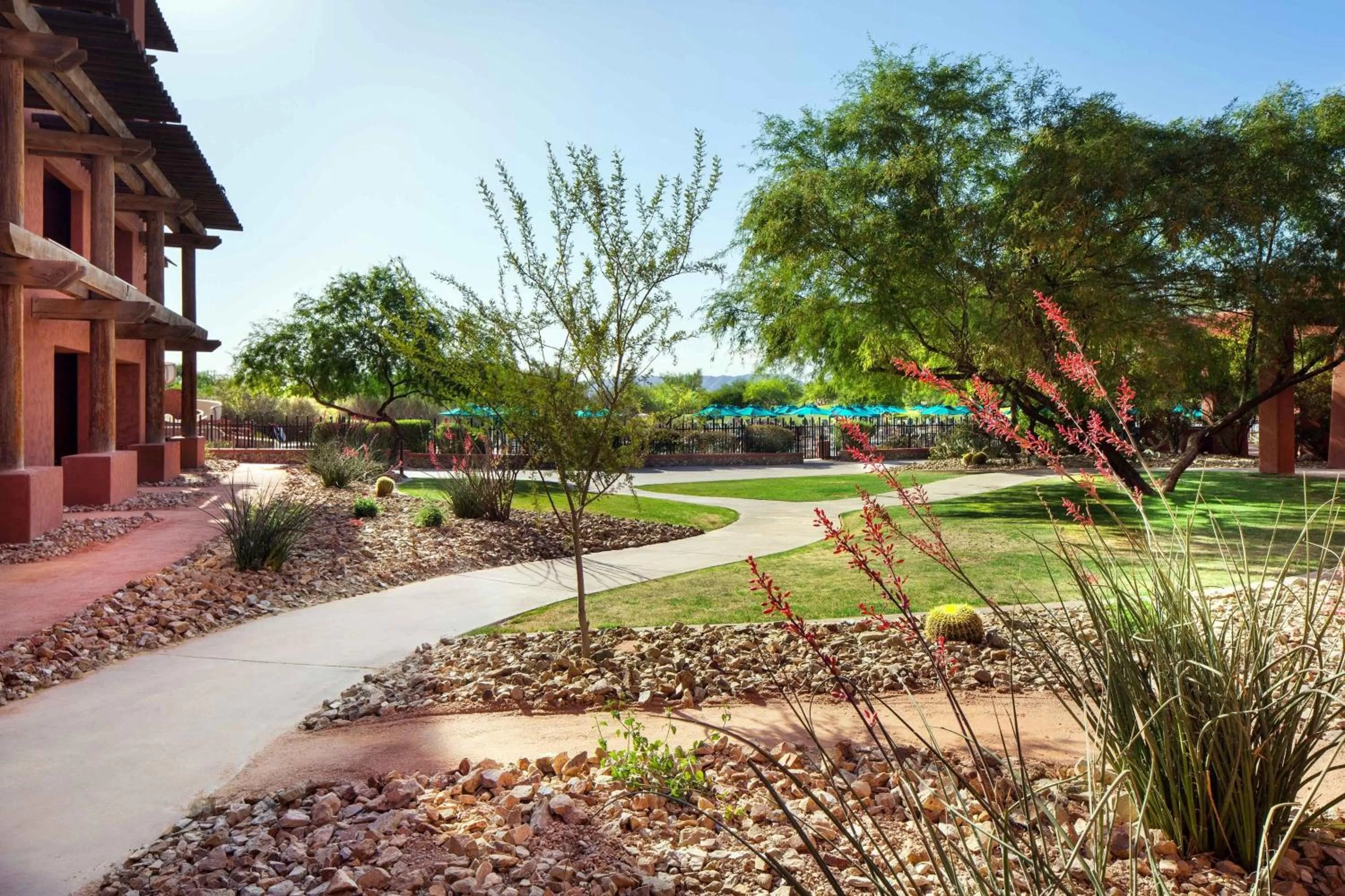 Swimming pool in Sheraton Grand at Wild Horse Pass