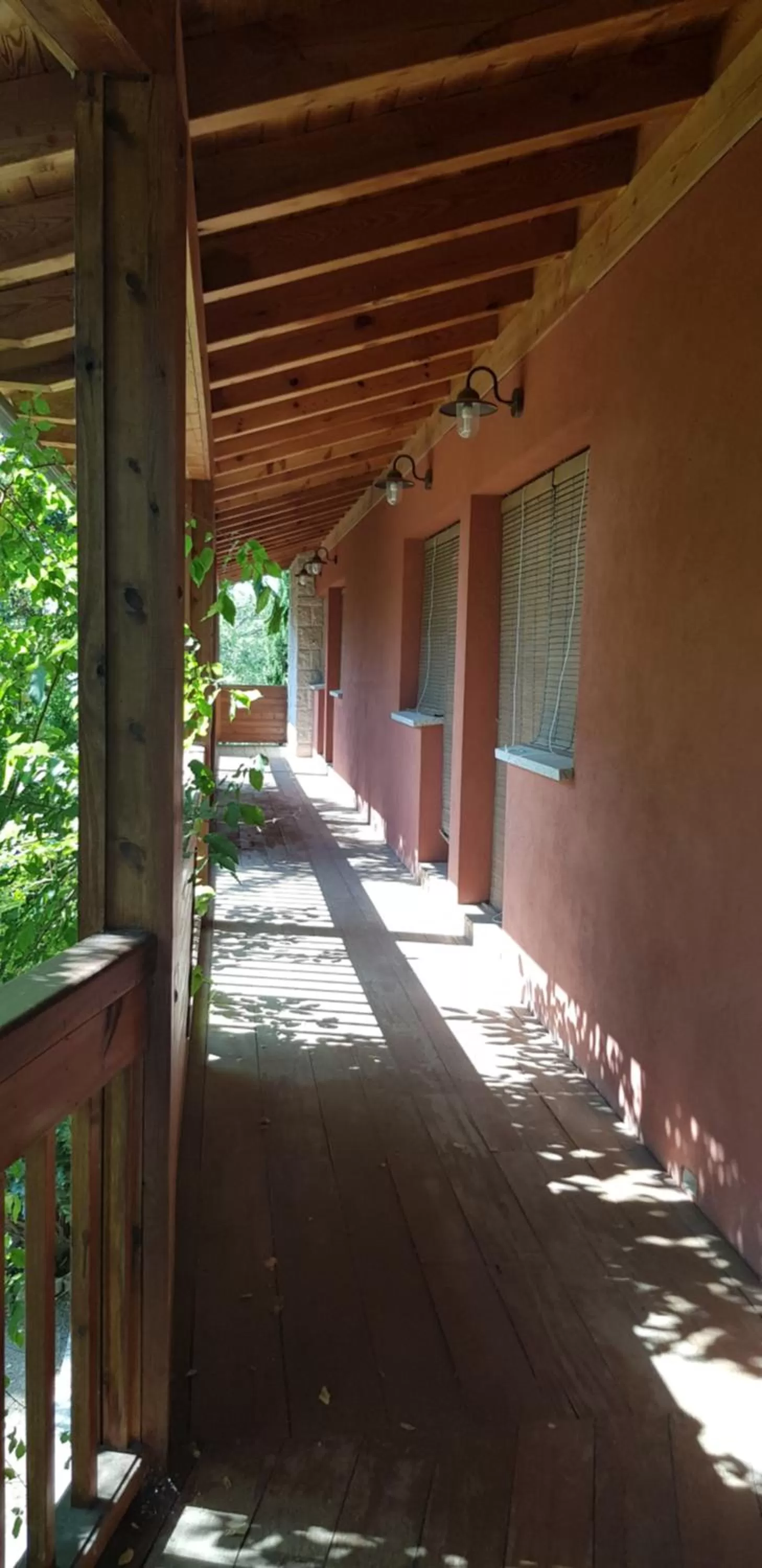 Balcony/Terrace in Hotel Sara De Ur