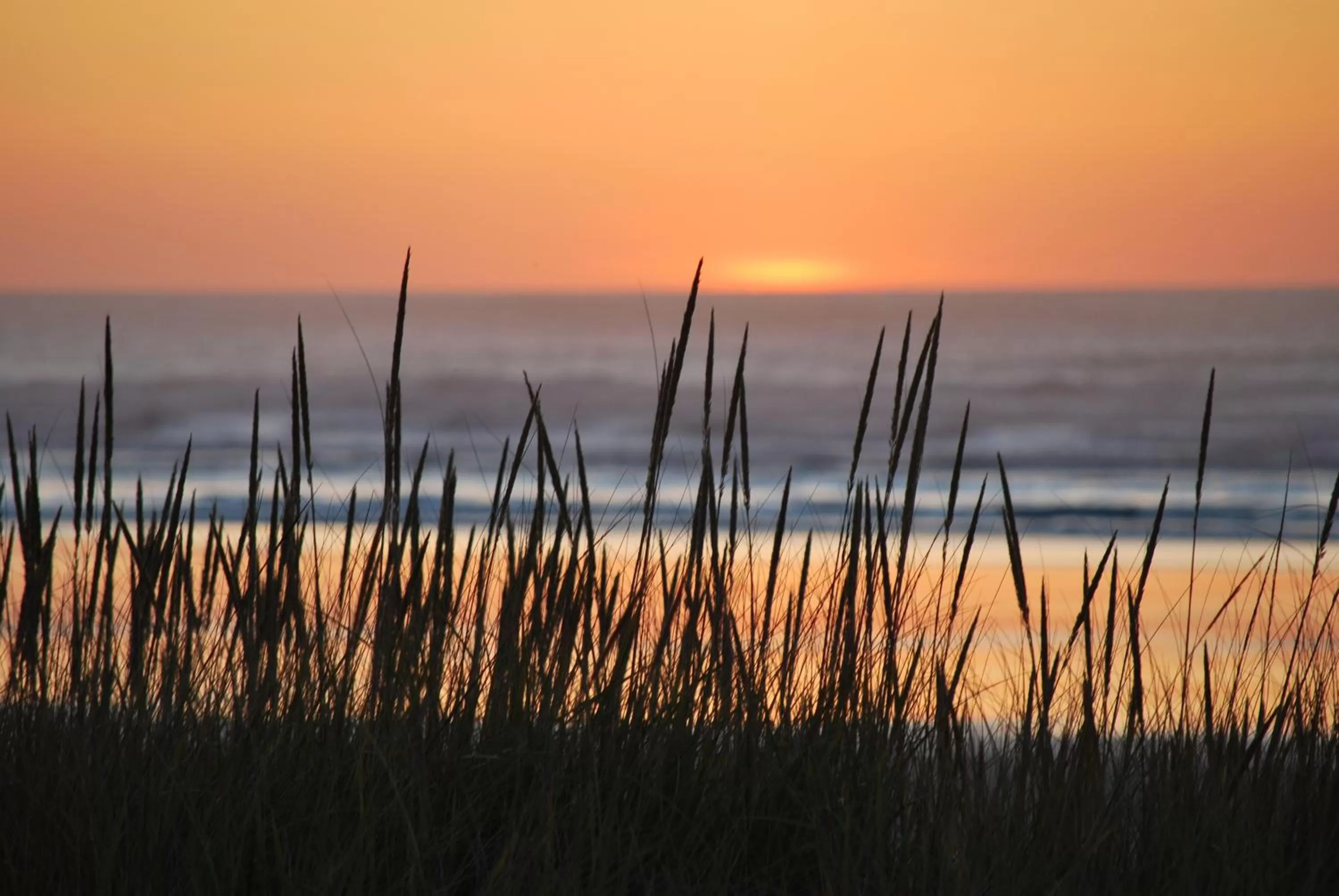 Area and facilities, Sunrise/Sunset in Inn at the Shore