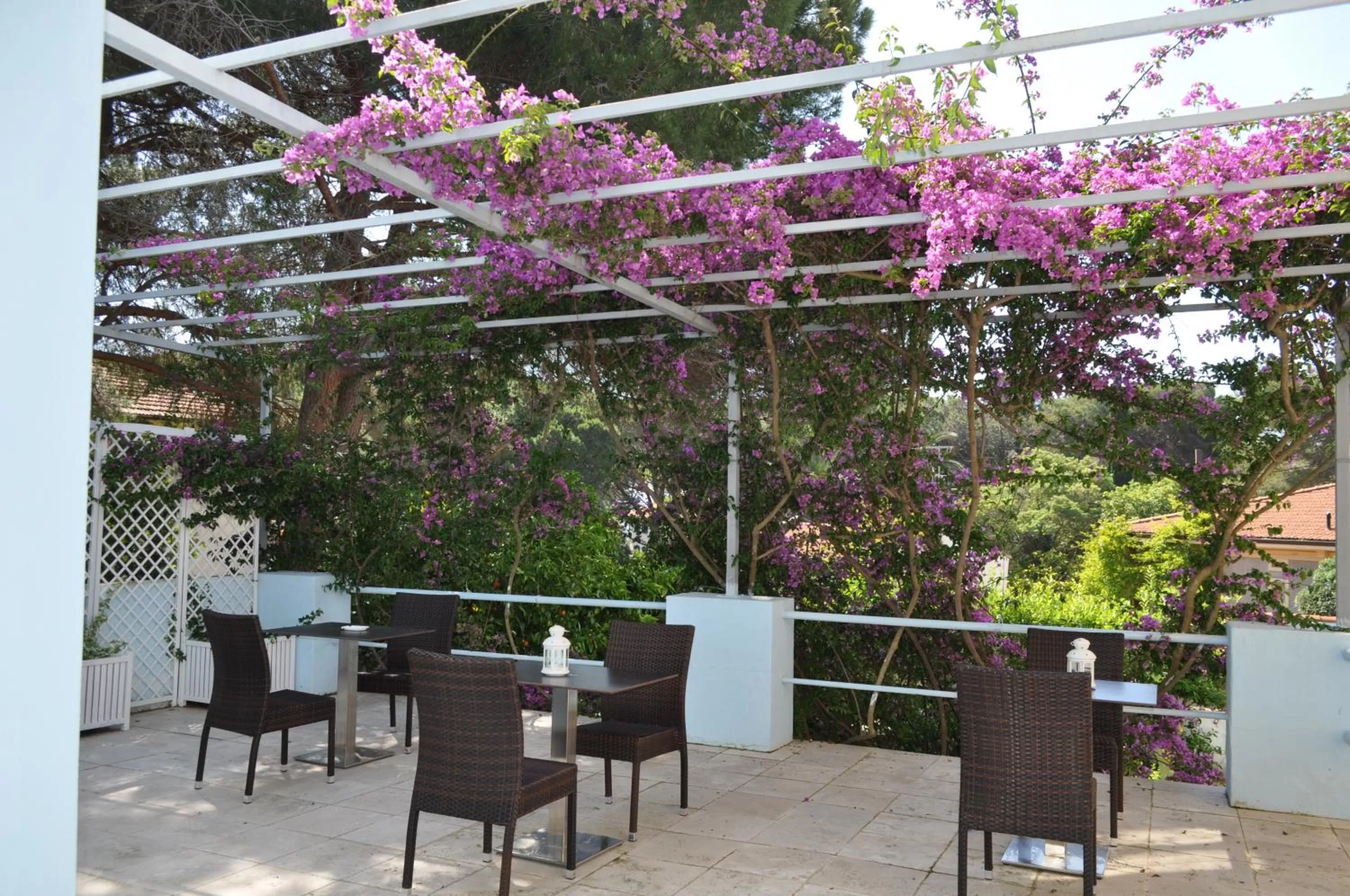 Balcony/Terrace in Guerrini Hotel