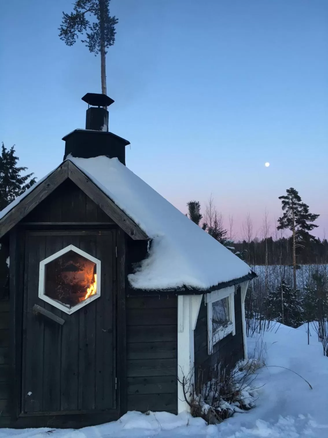 Garden, Winter in Lamminmäen Juhla ja Peti