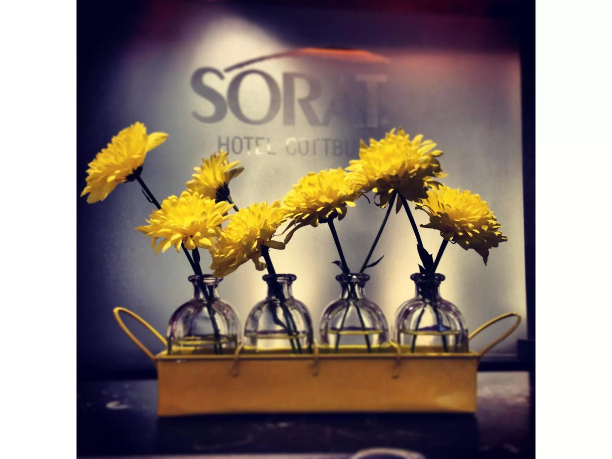 Other in SORAT Hotel Cottbus