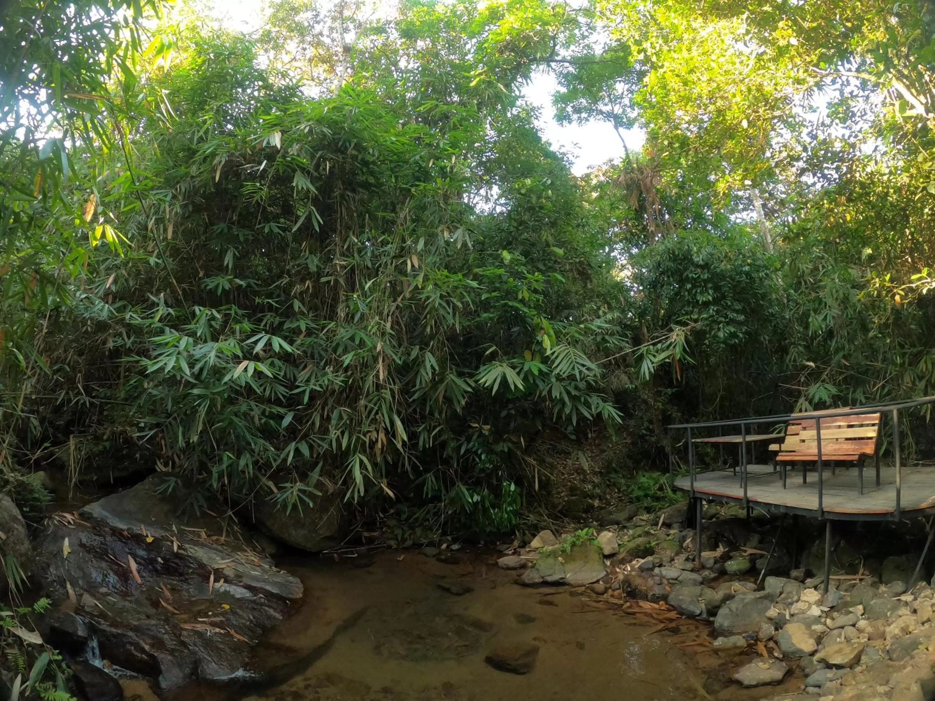 River view in The Wild Trails Clarks Exotica , Munnar