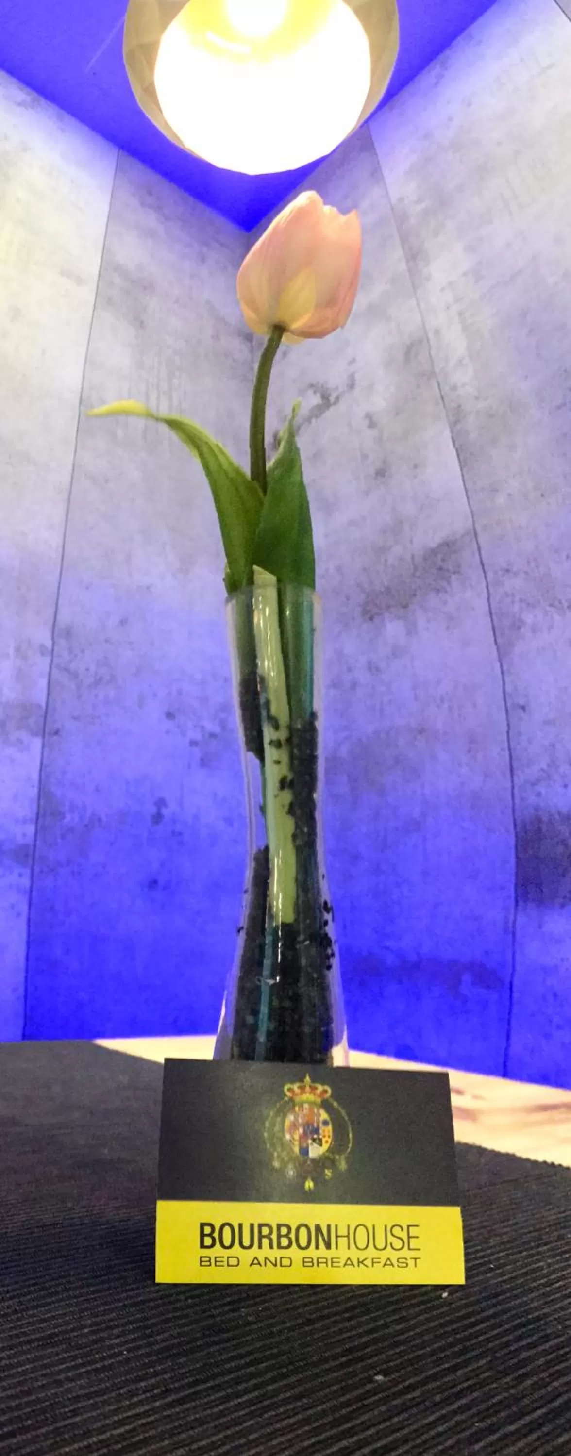 Decorative detail in Bourbon House