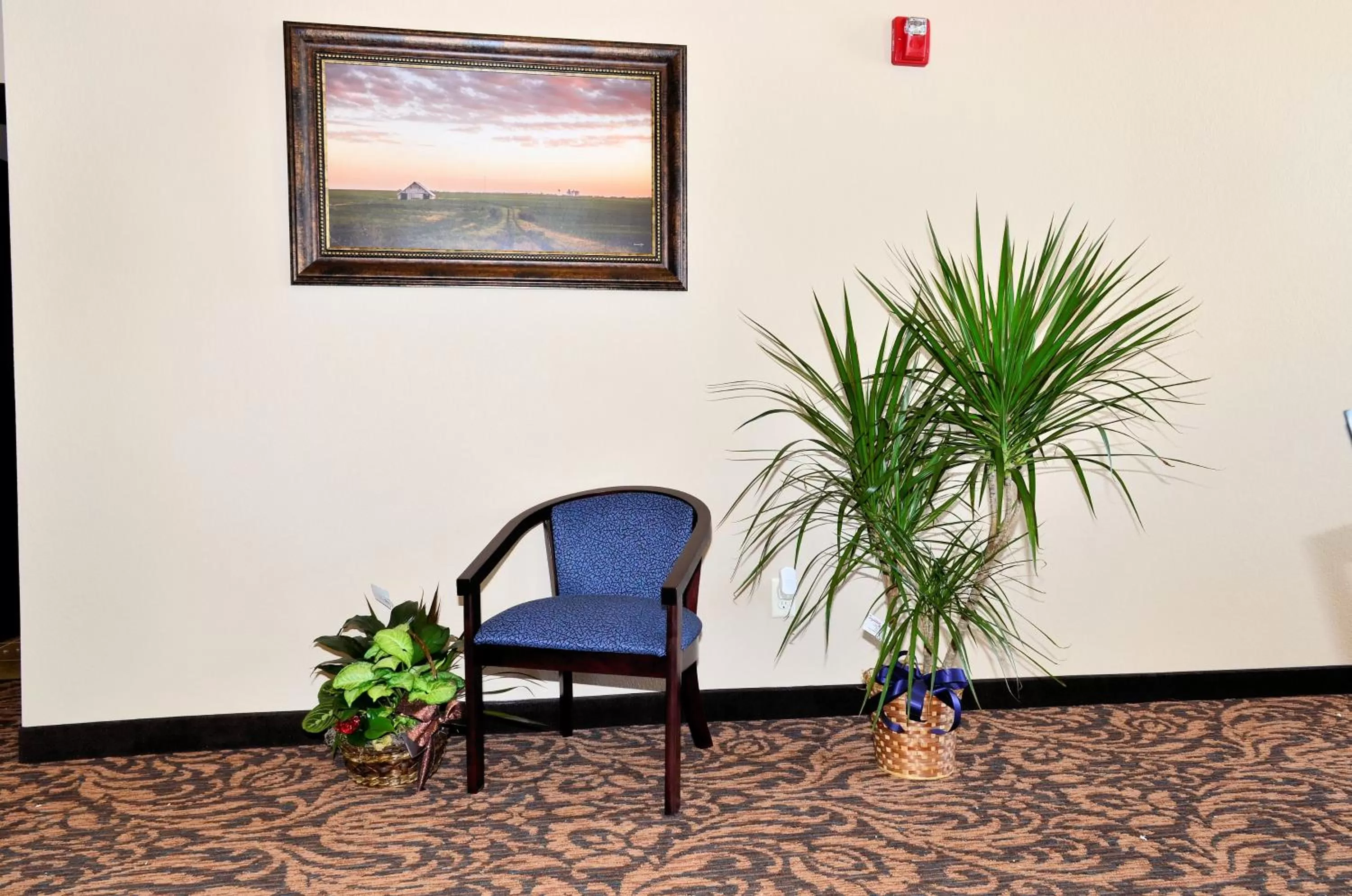 Lobby or reception in Cobblestone Inn & Suites - Holstein