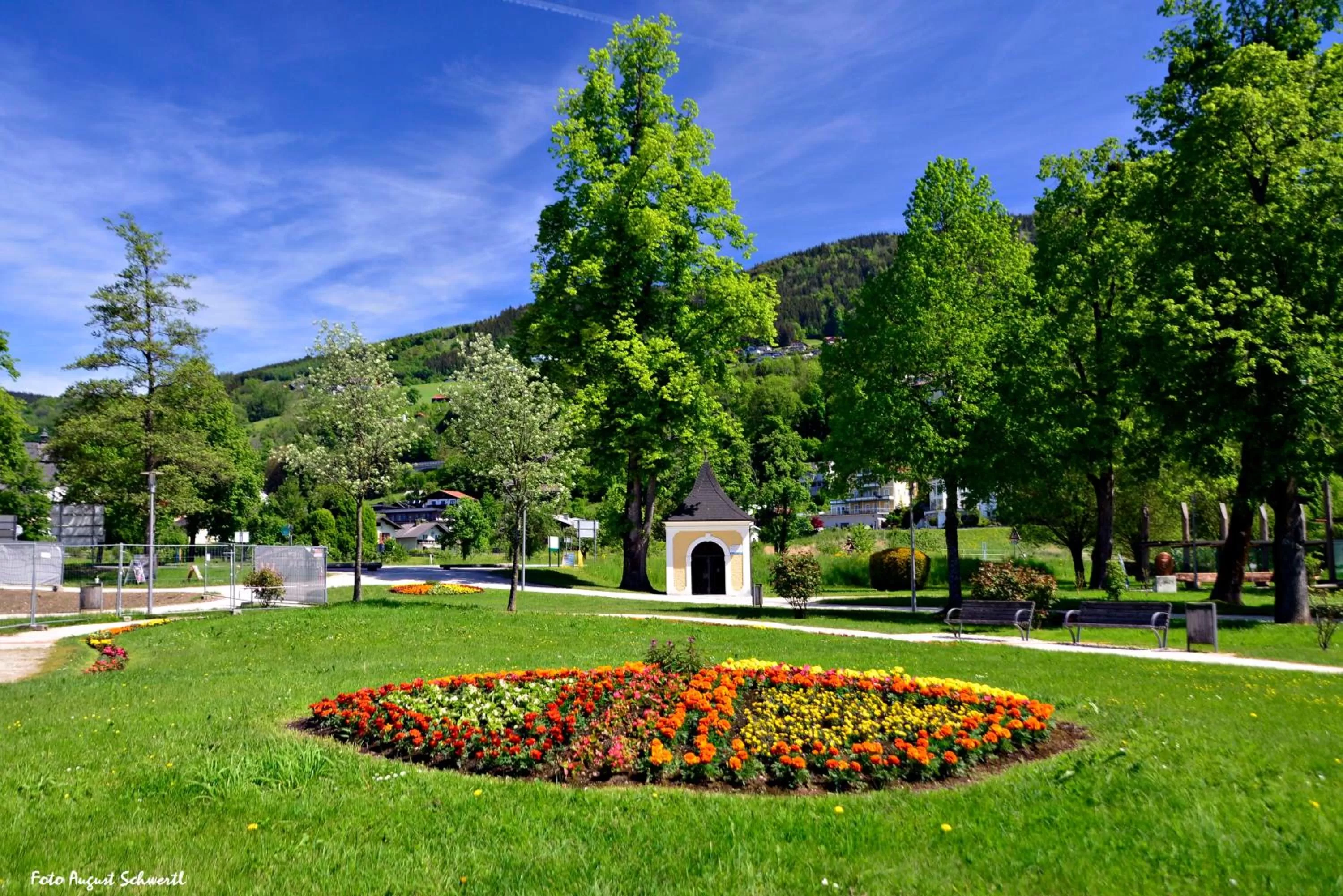 Natural landscape in Hotel Krone
