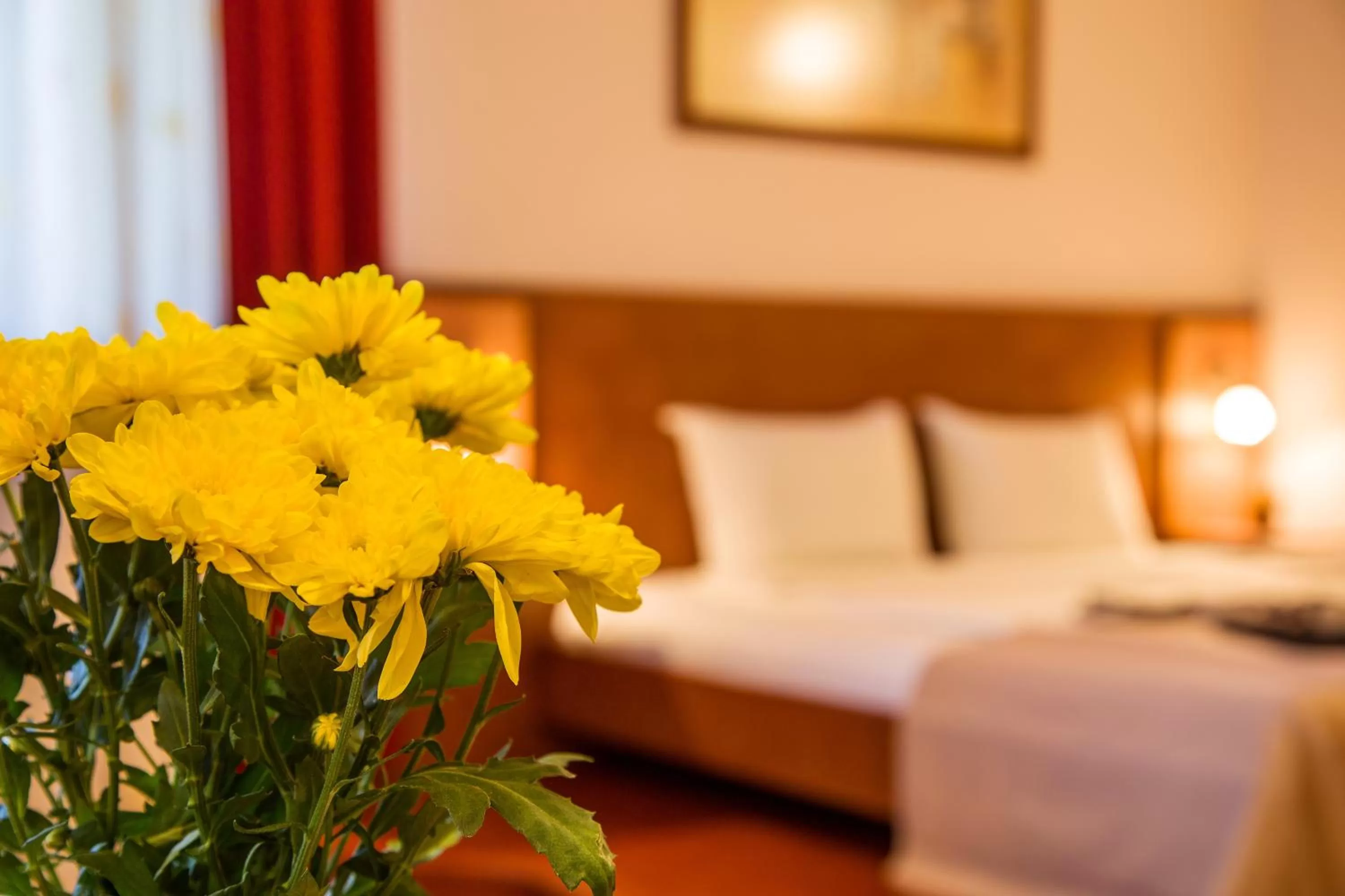 Decorative detail, Bed in Hotel Villa Boyana - Free Parking