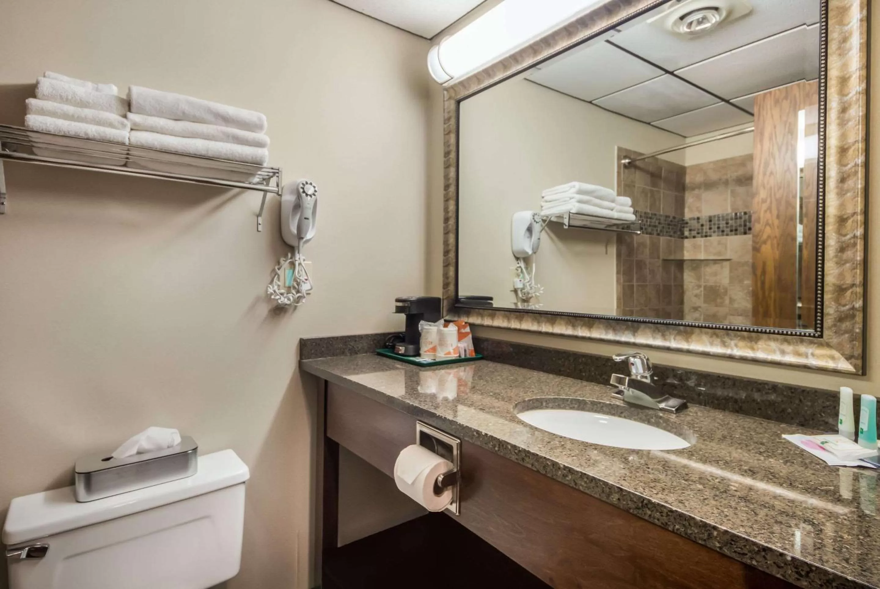 Bathroom in Quality Inn & Suites Newberry
